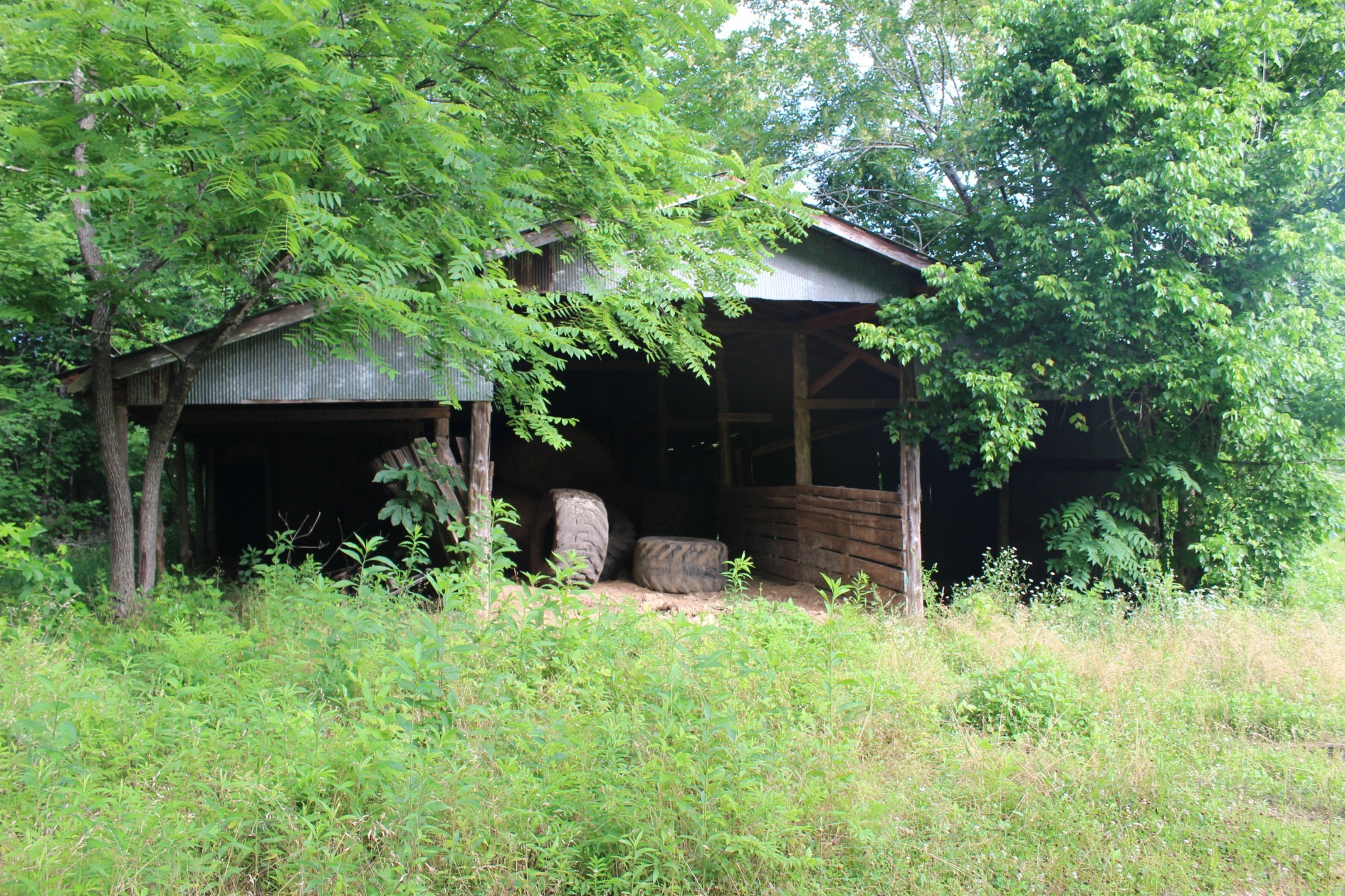 11517 Mt Carmel Rd