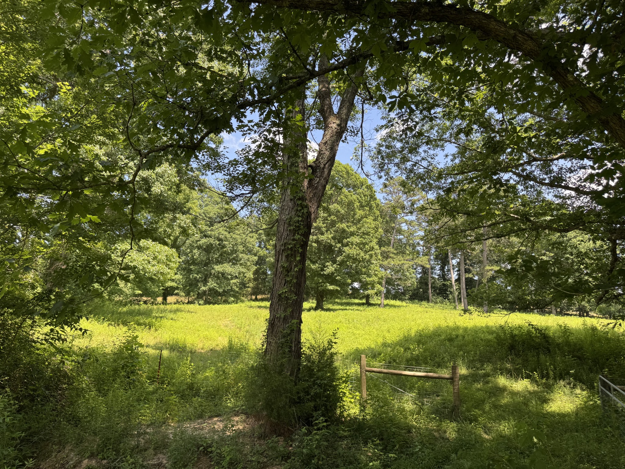 2658 Pickett Park Hwy