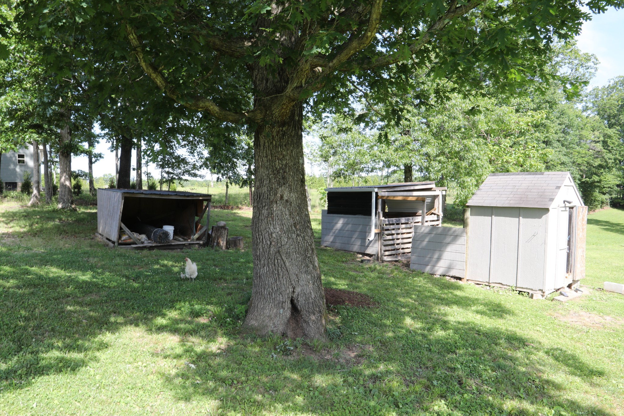 771 Long Mountain Rd