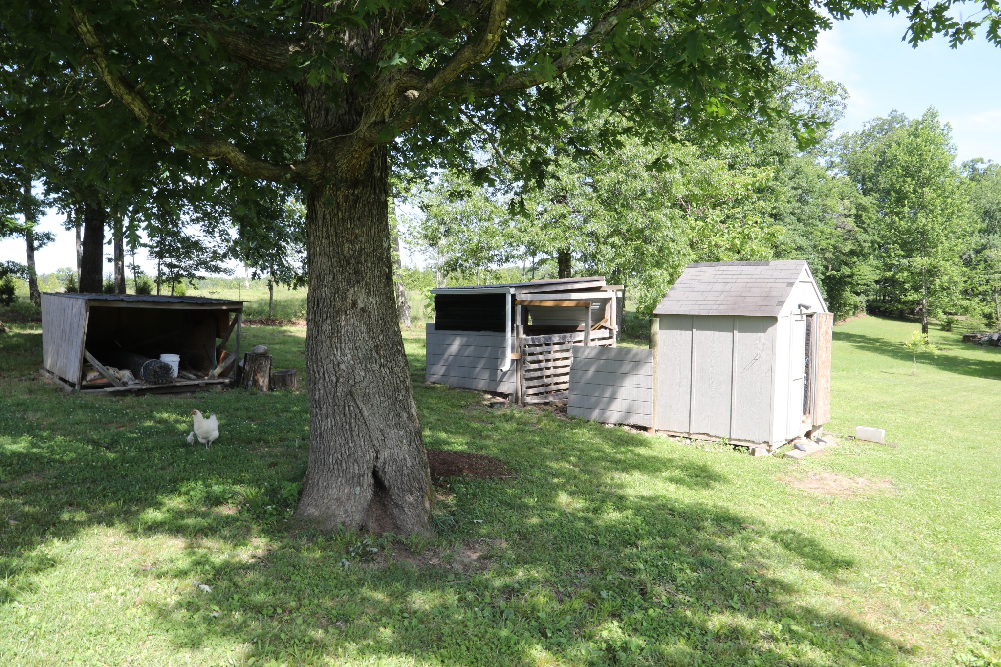 771 Long Mountain Rd