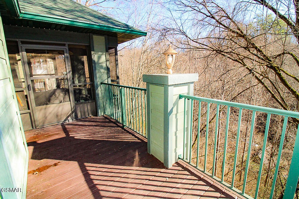 316 Saddleback Way