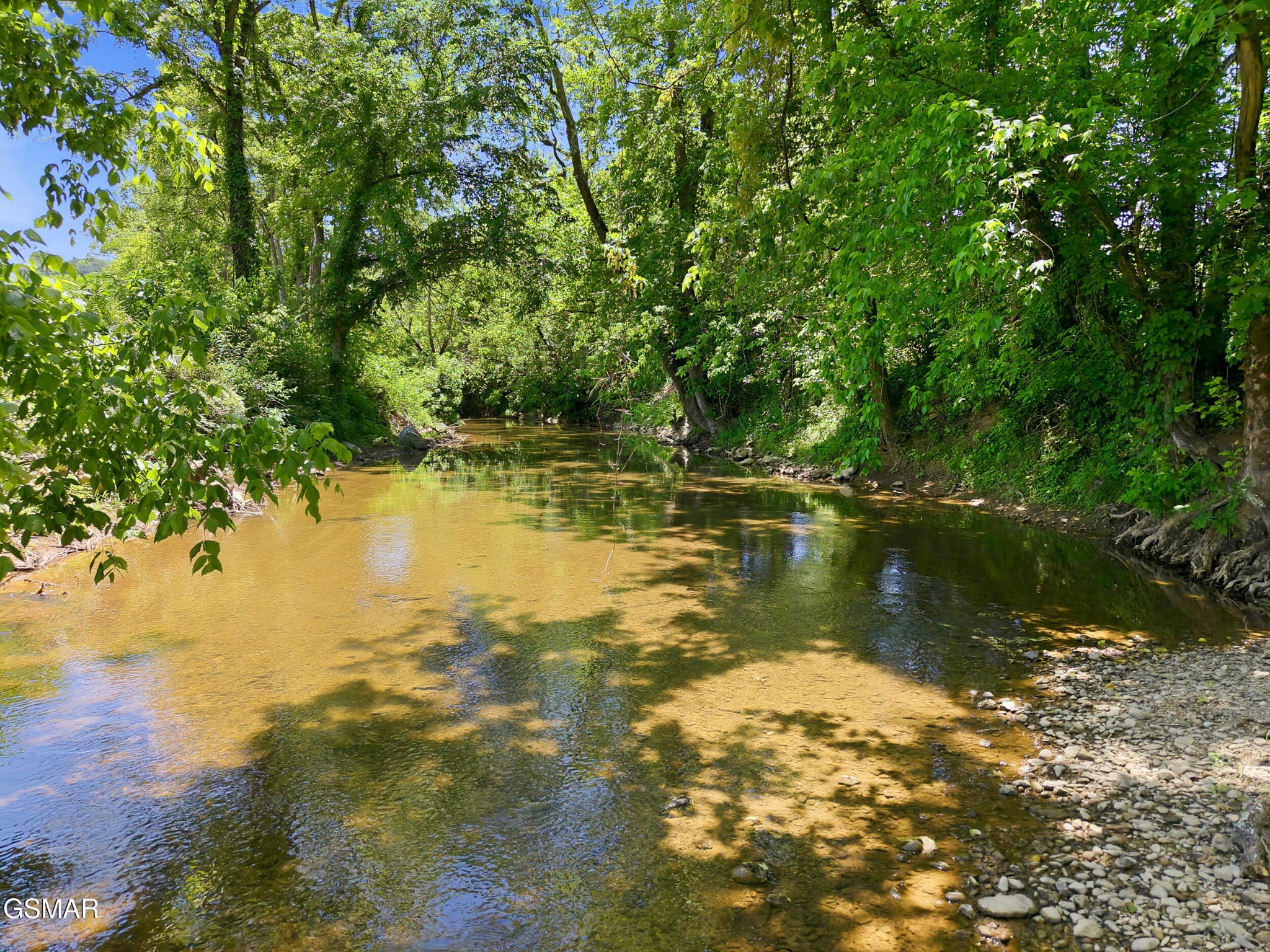 1309 Licklog Hollow Road