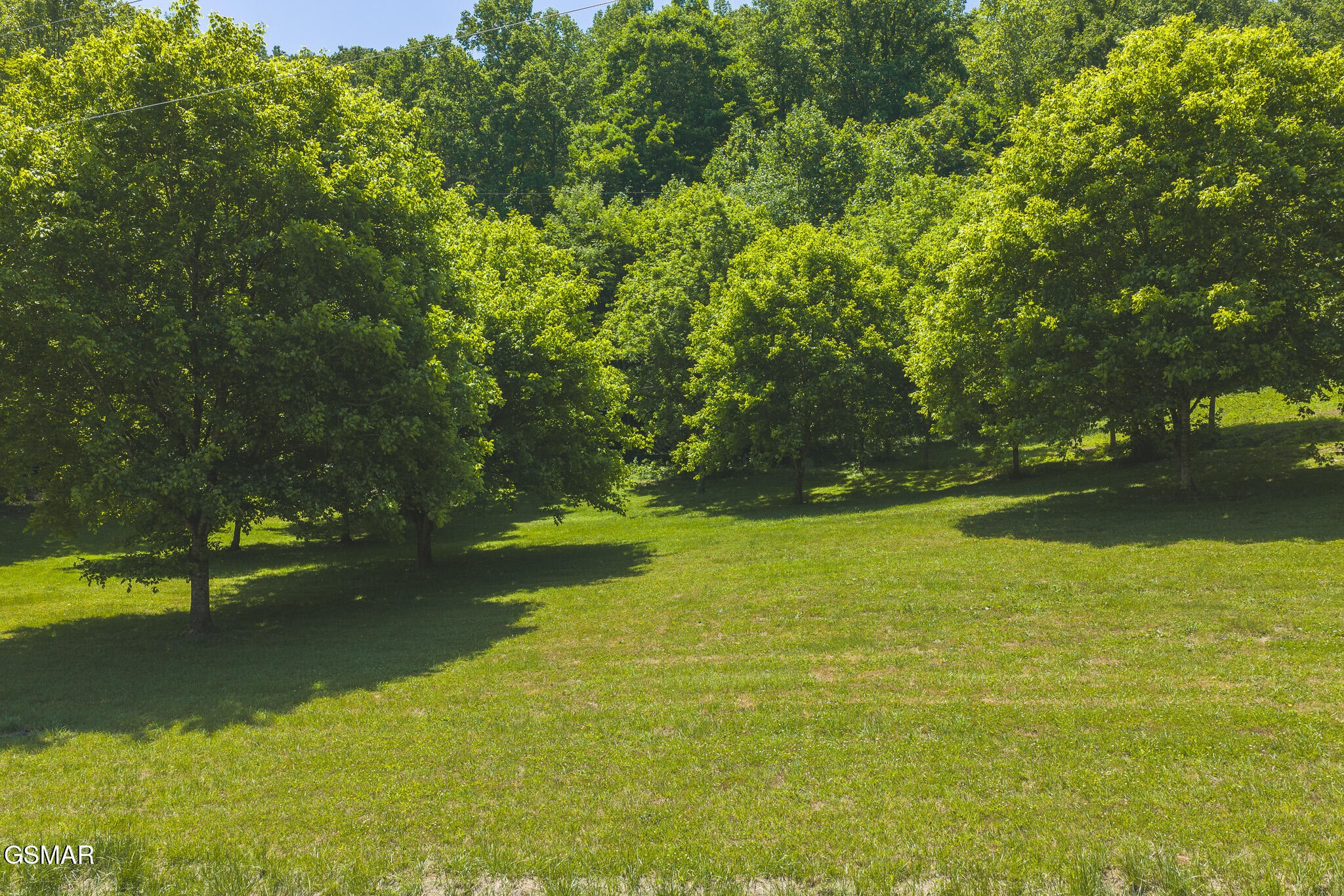 622 Earls Hollow Road