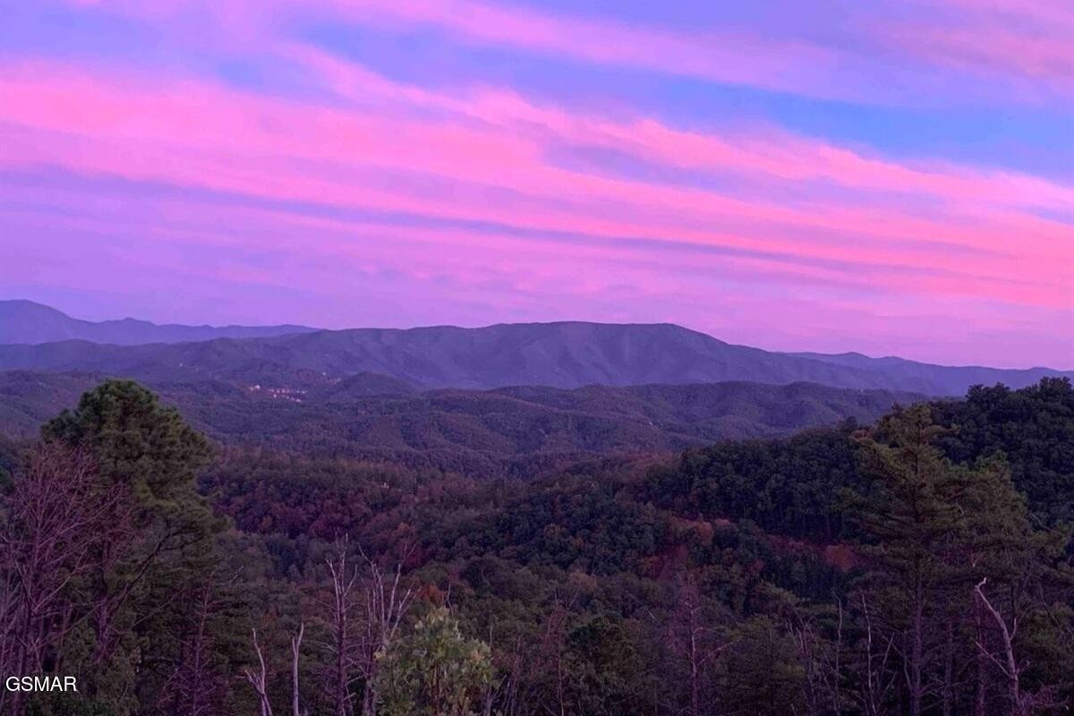 2086 Bluff Mountain Road