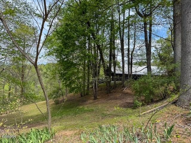 1421 Silver Poplar Lane