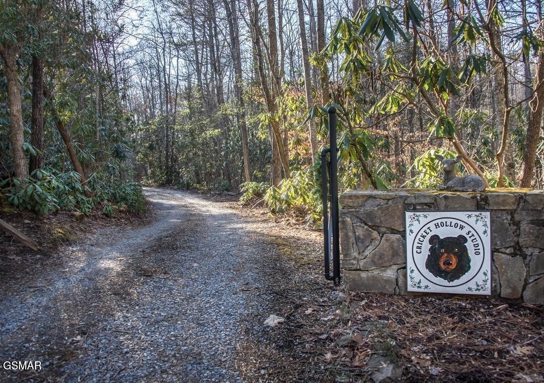 125 Cricket Hollow Way