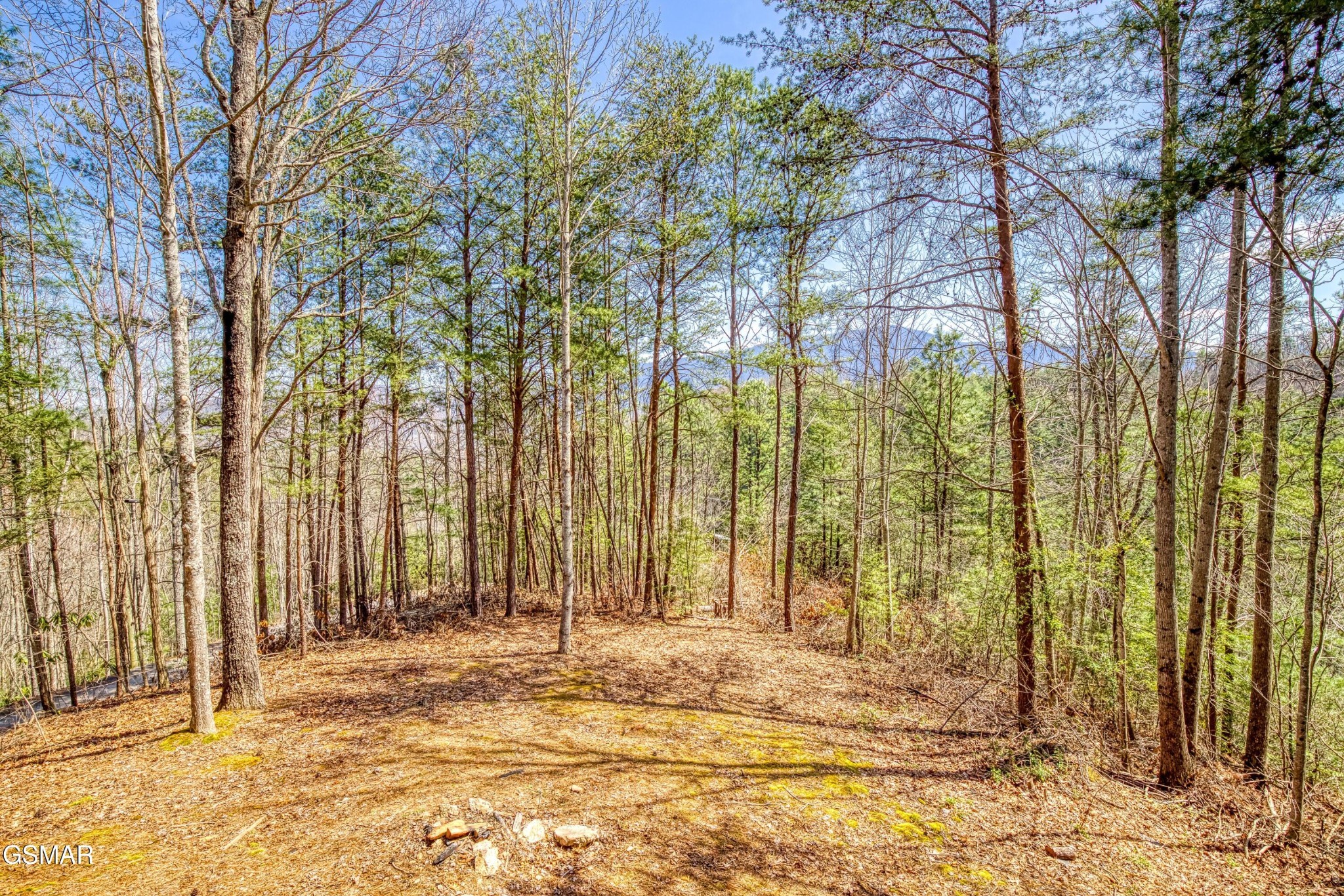 2752 Blue Springs Way