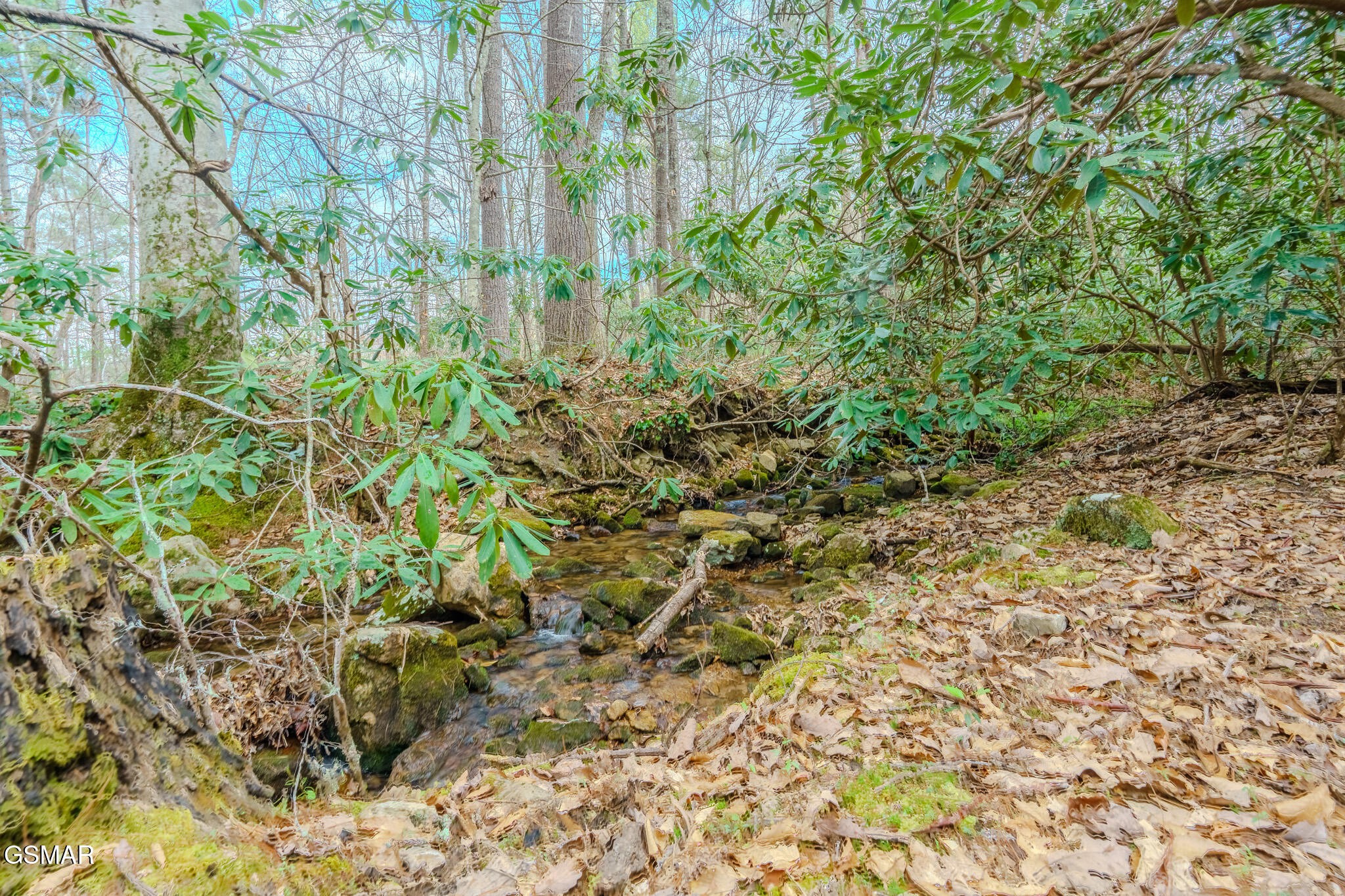 3386 Rocky Ridge Road