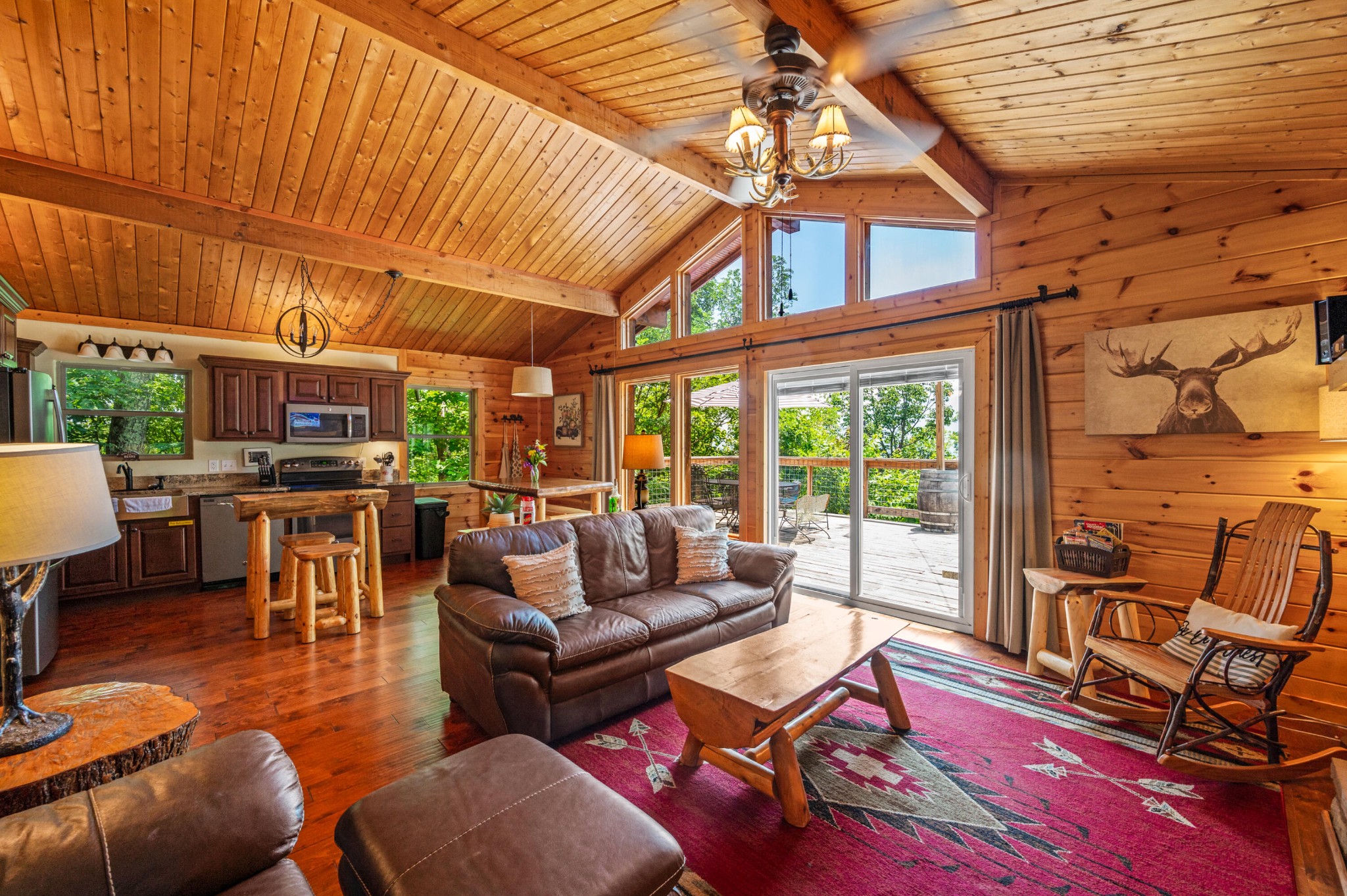 1166 Ski View Drive