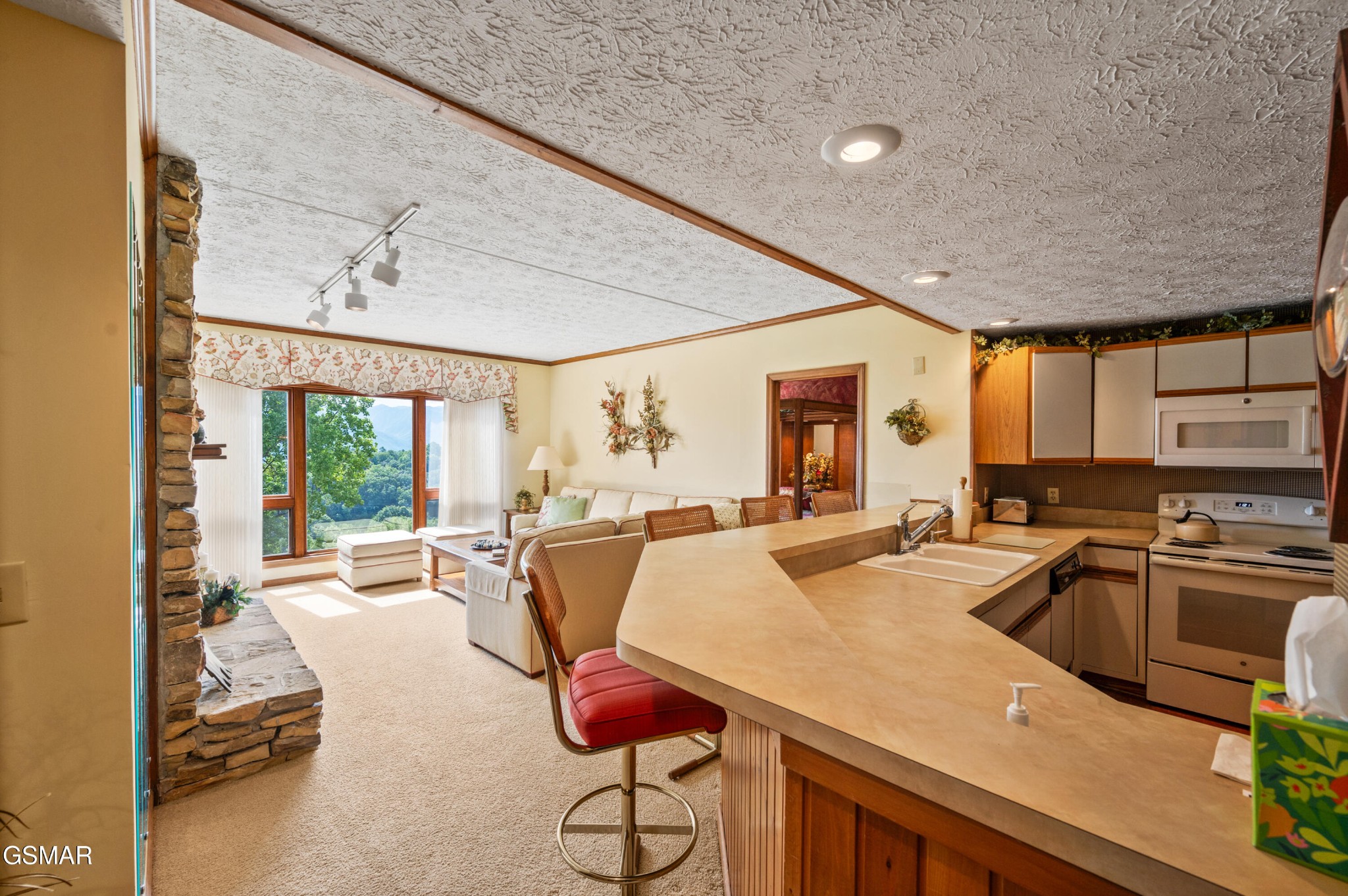 1130 Ski View Drive