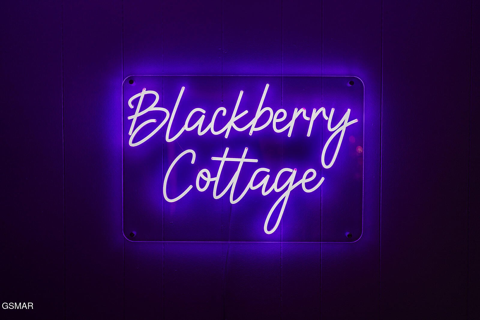 1901 Blackberry Way
