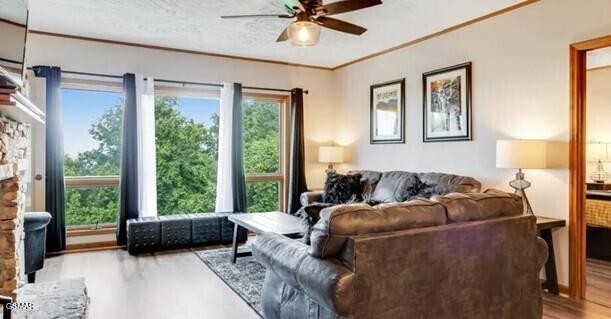 1130 Ski View Drive