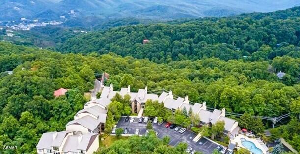 1130 Ski View Drive