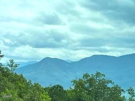 1130 Ski View Drive