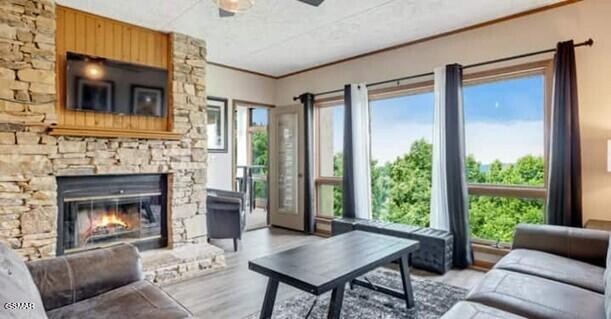 1130 Ski View Drive