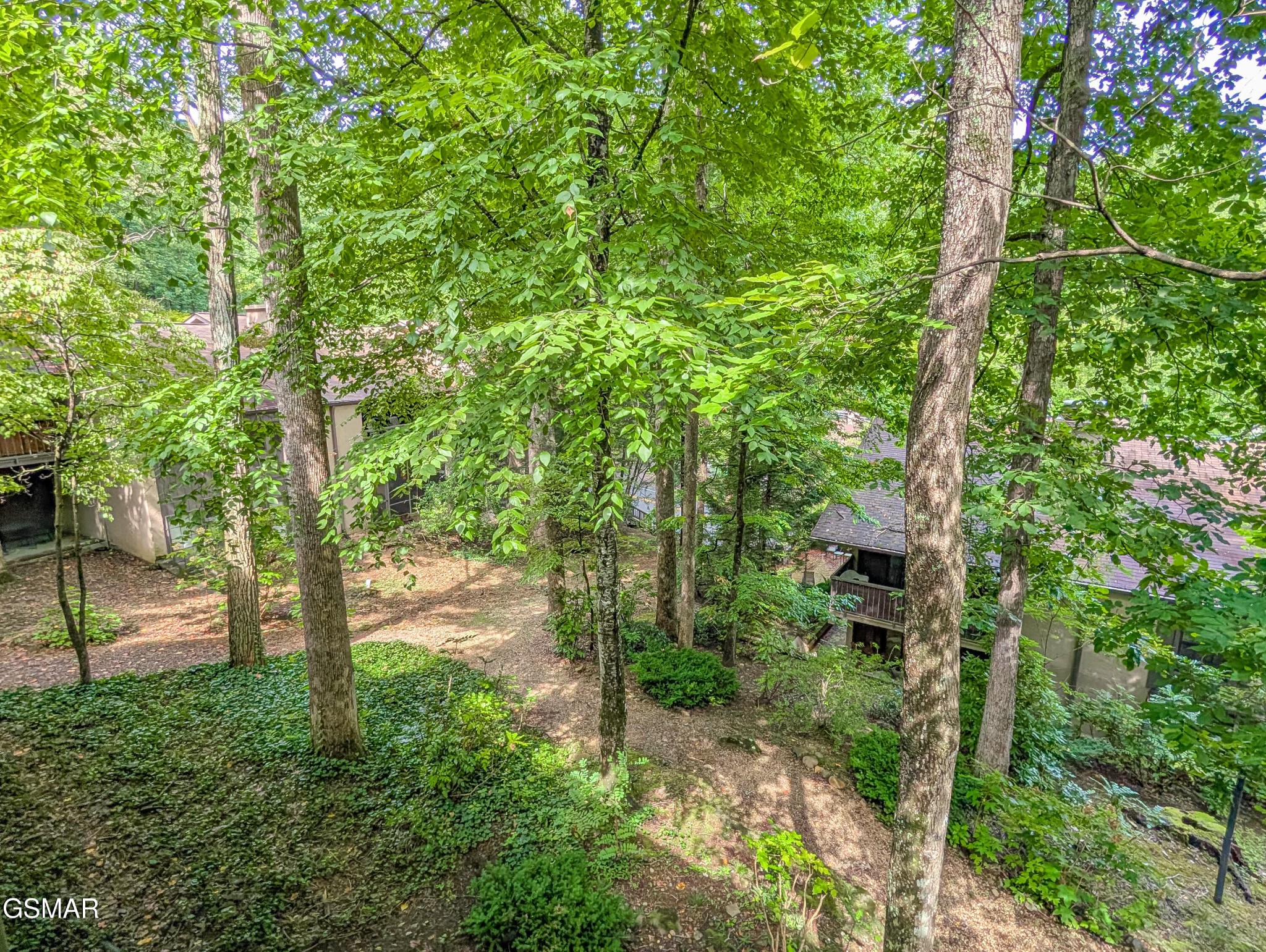 1235 Ski Mountain Road