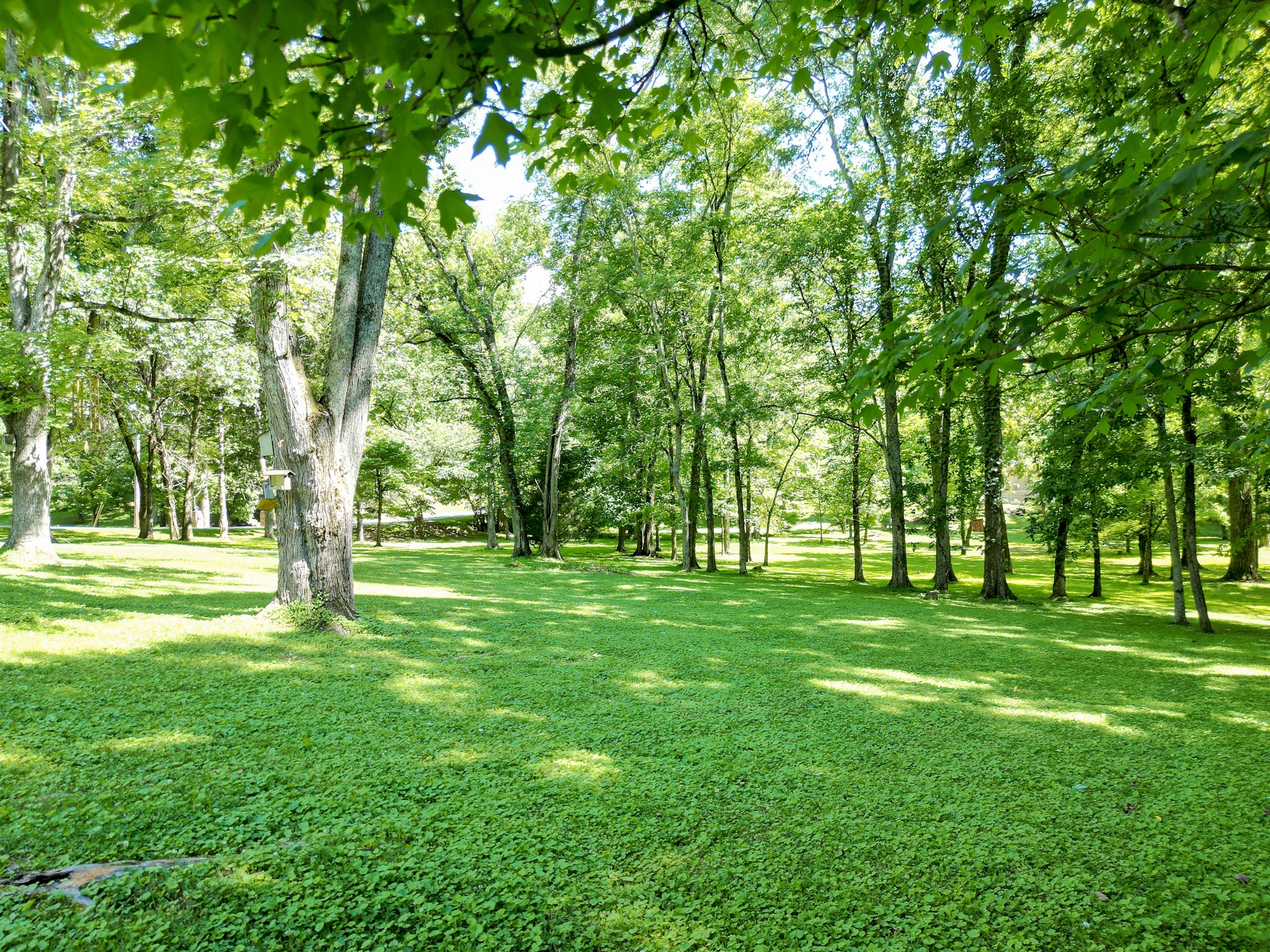 2403 Hidden Lake Cir