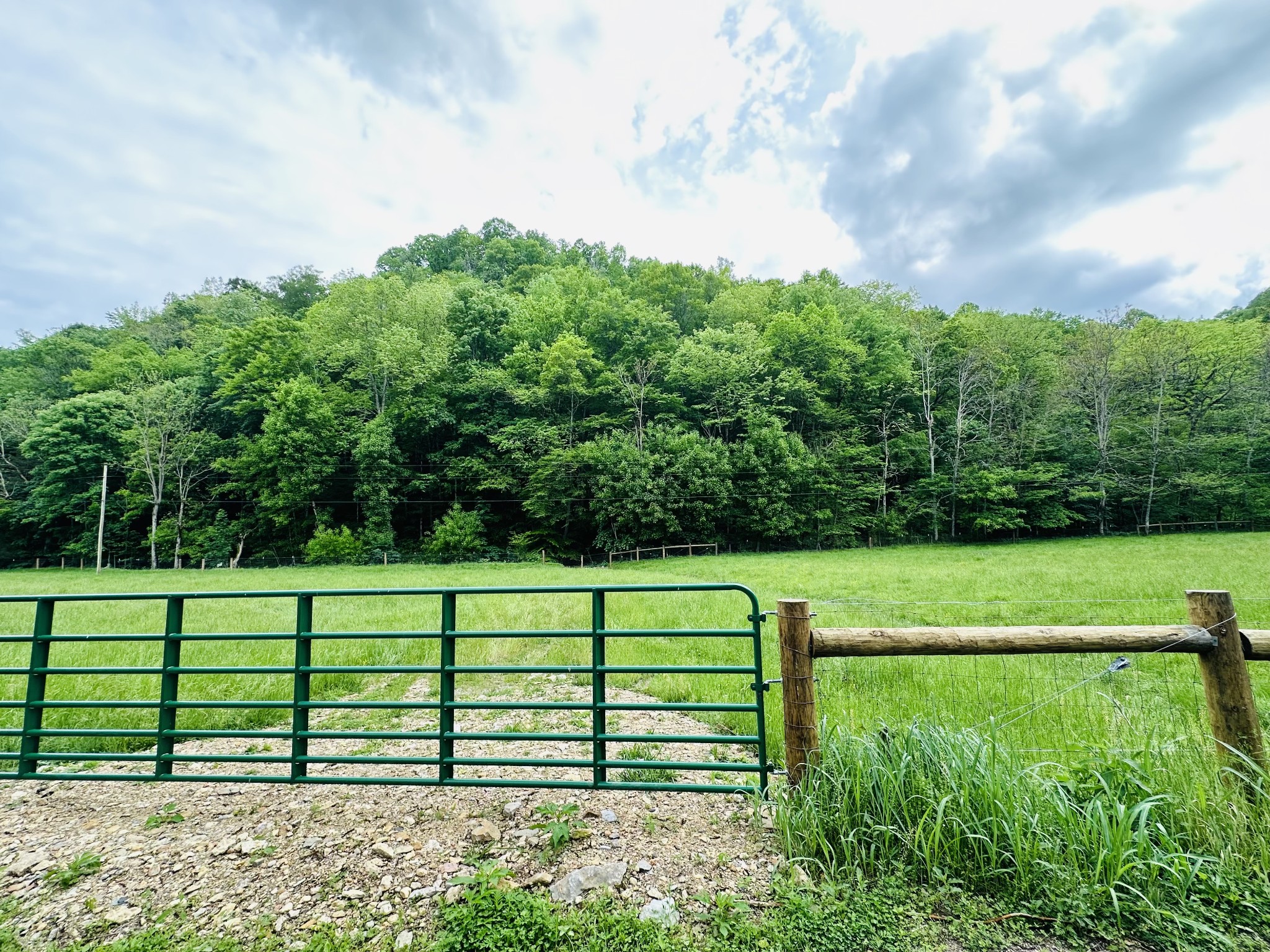 1611 Knob Creek Rd