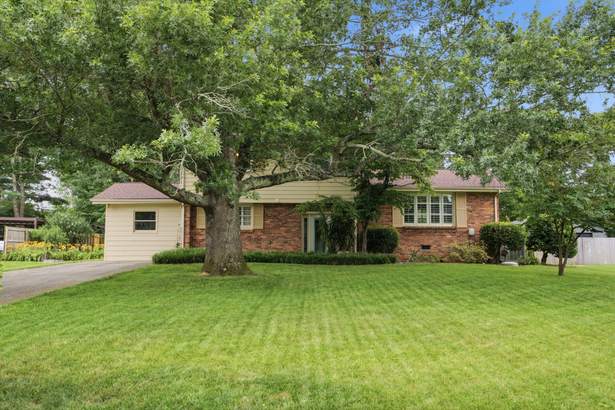323 Colt Ln