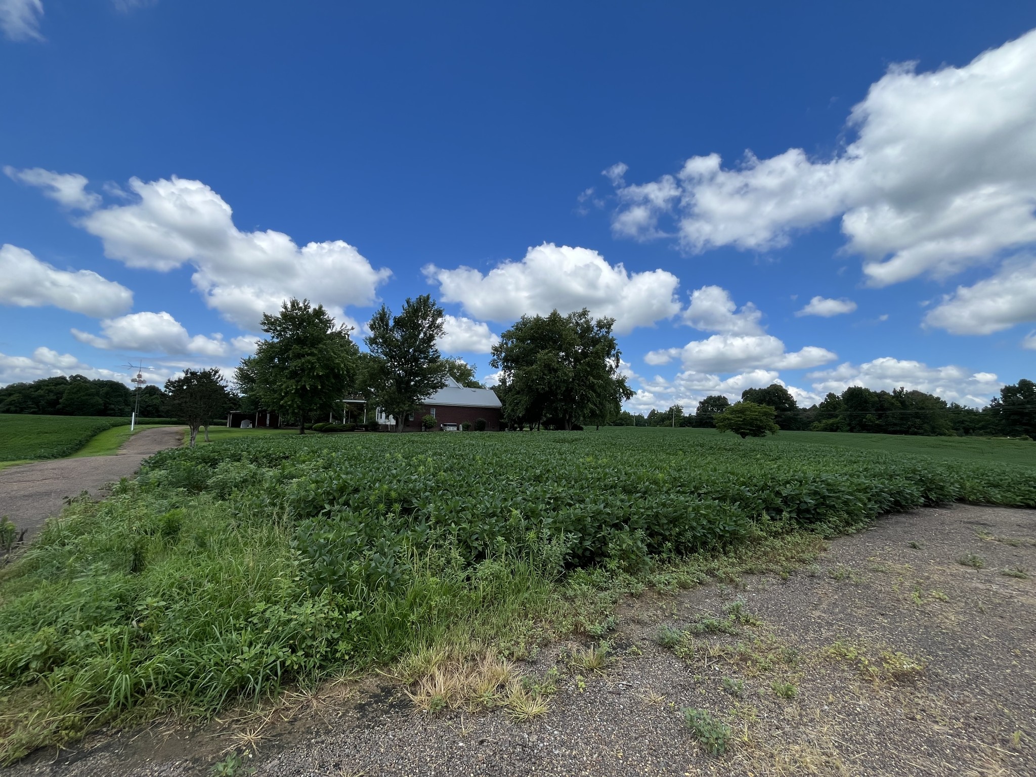 3501 W Highway 21