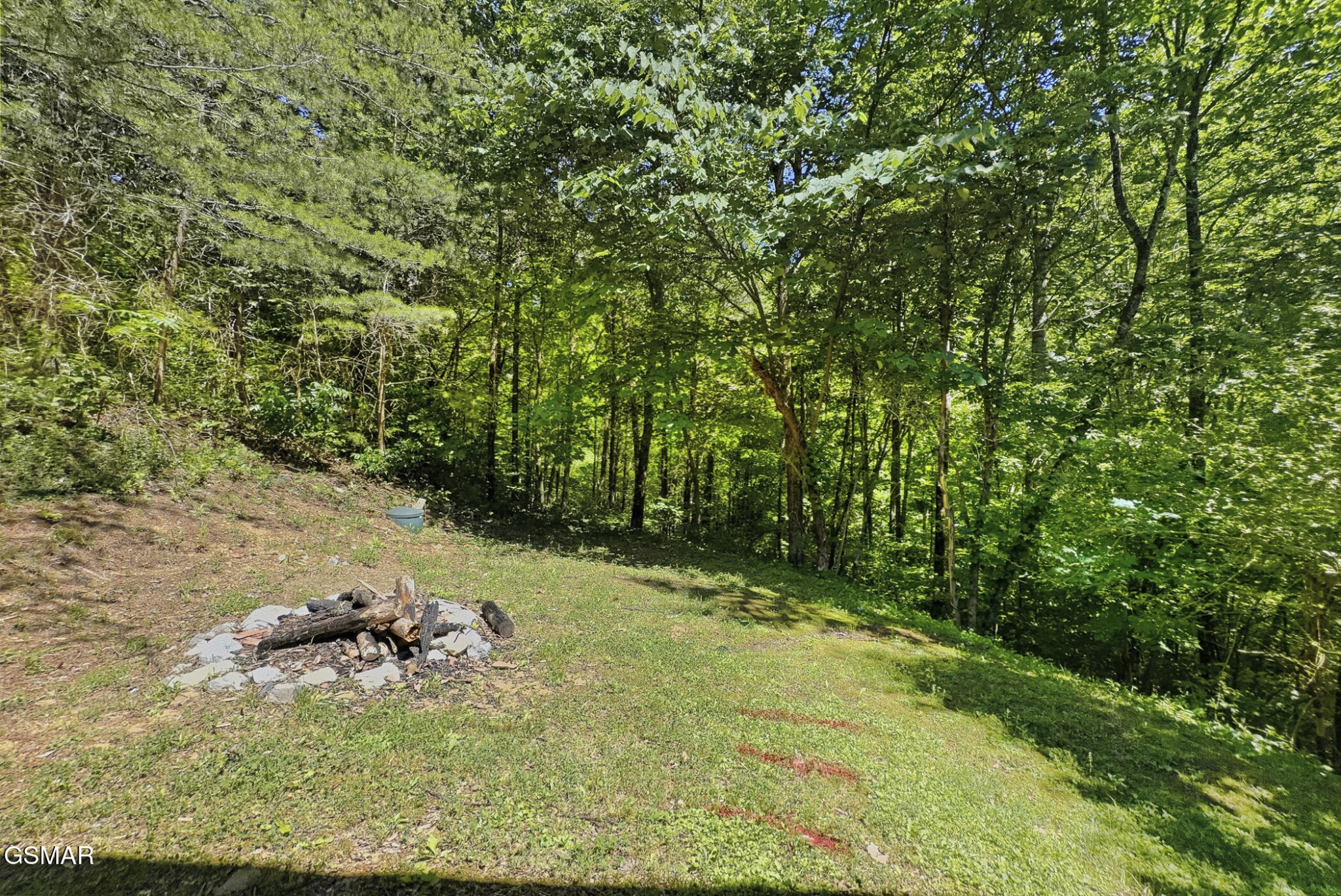 1514 McCarter Hollow Road