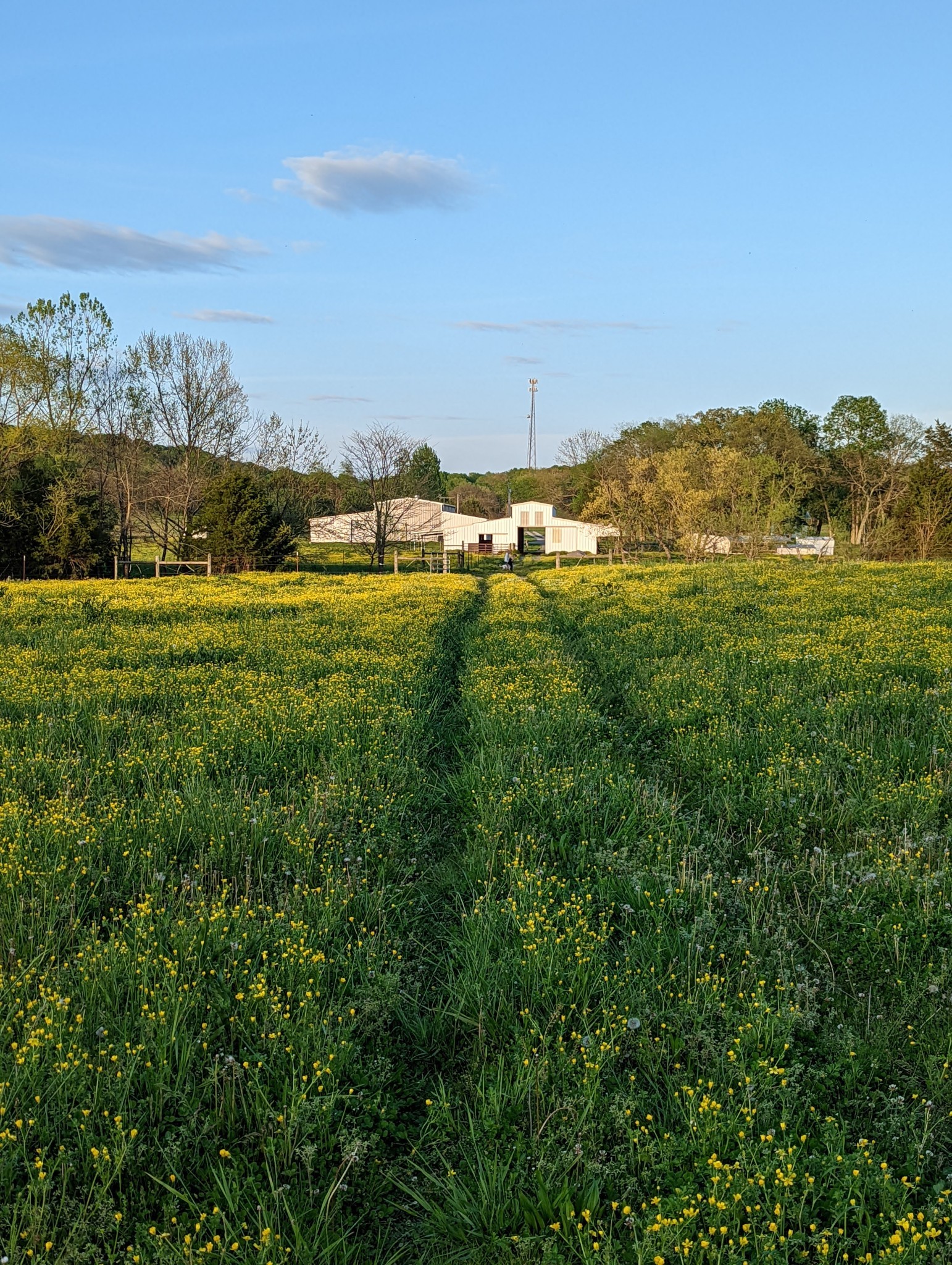 14620 Cainsville Rd