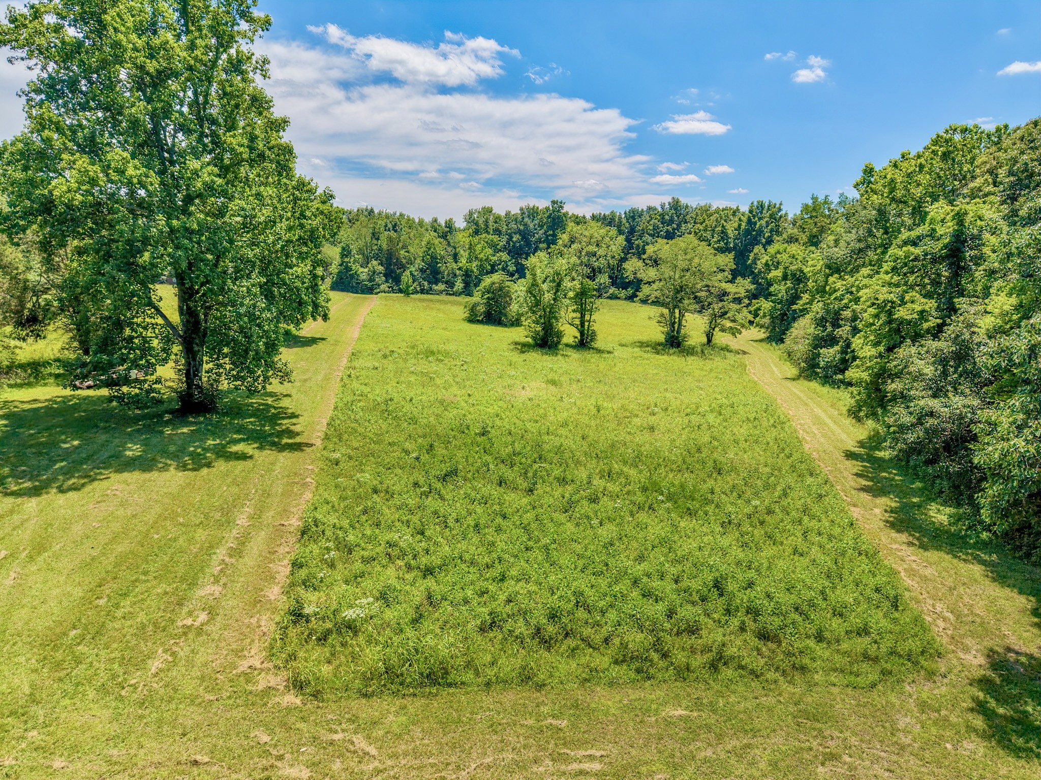 1251 Highway 96, N