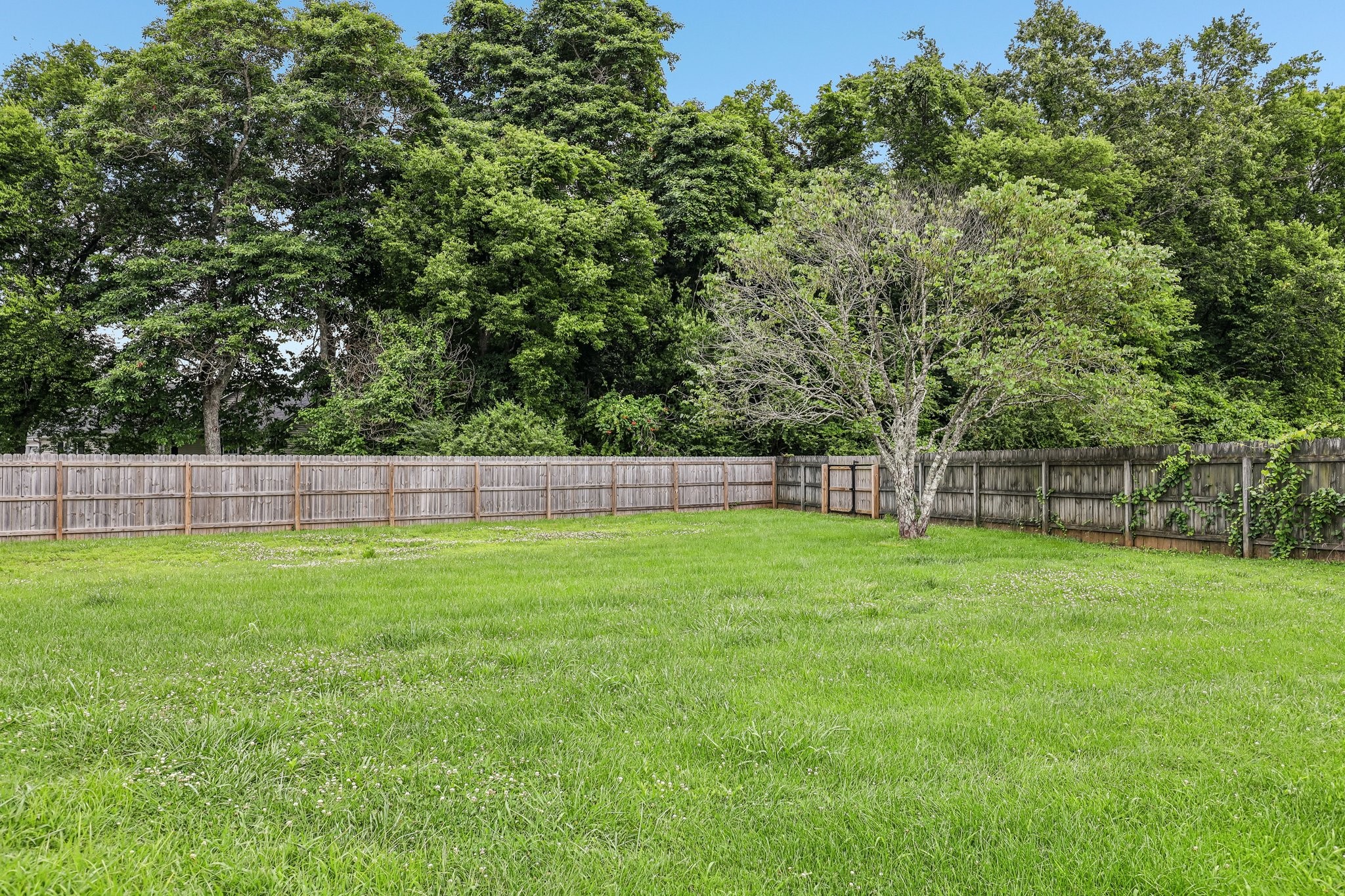 2312 Forrest Fields Dr