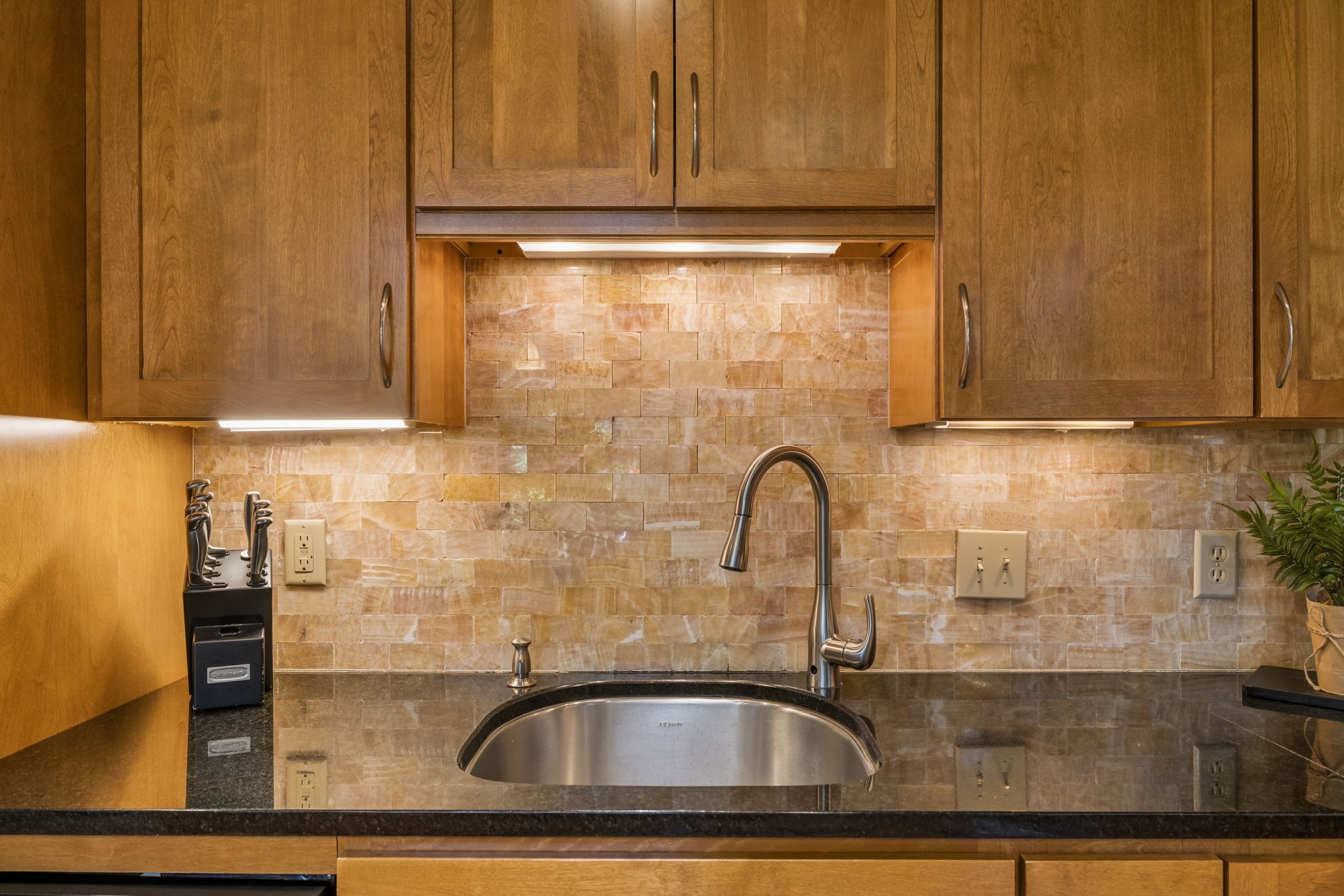 227 Hearthstone Manor Ln