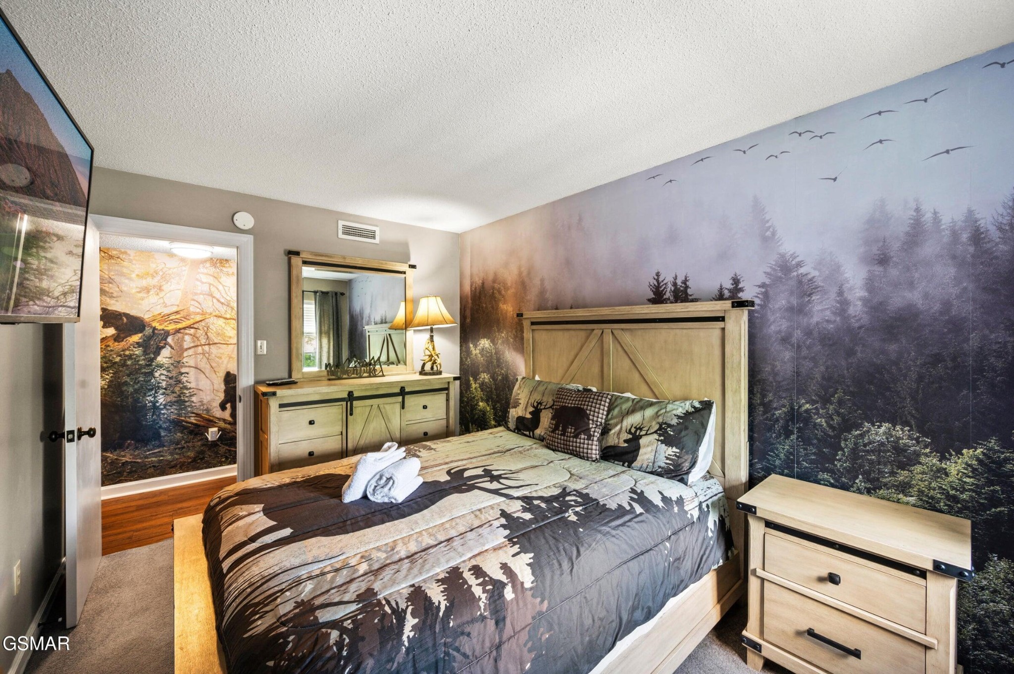 1260 Ski View Drive