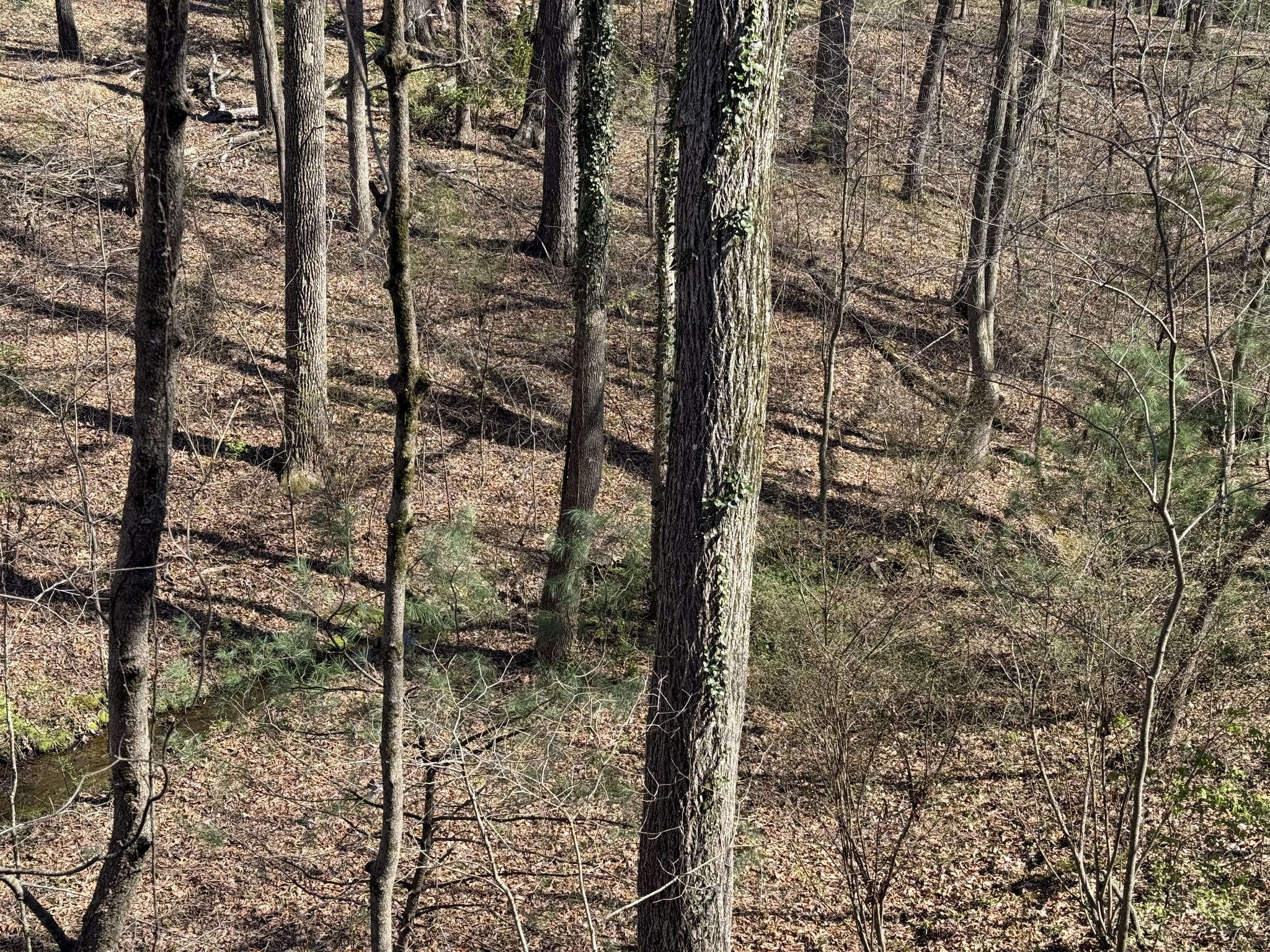 762 Spring Valley Rd