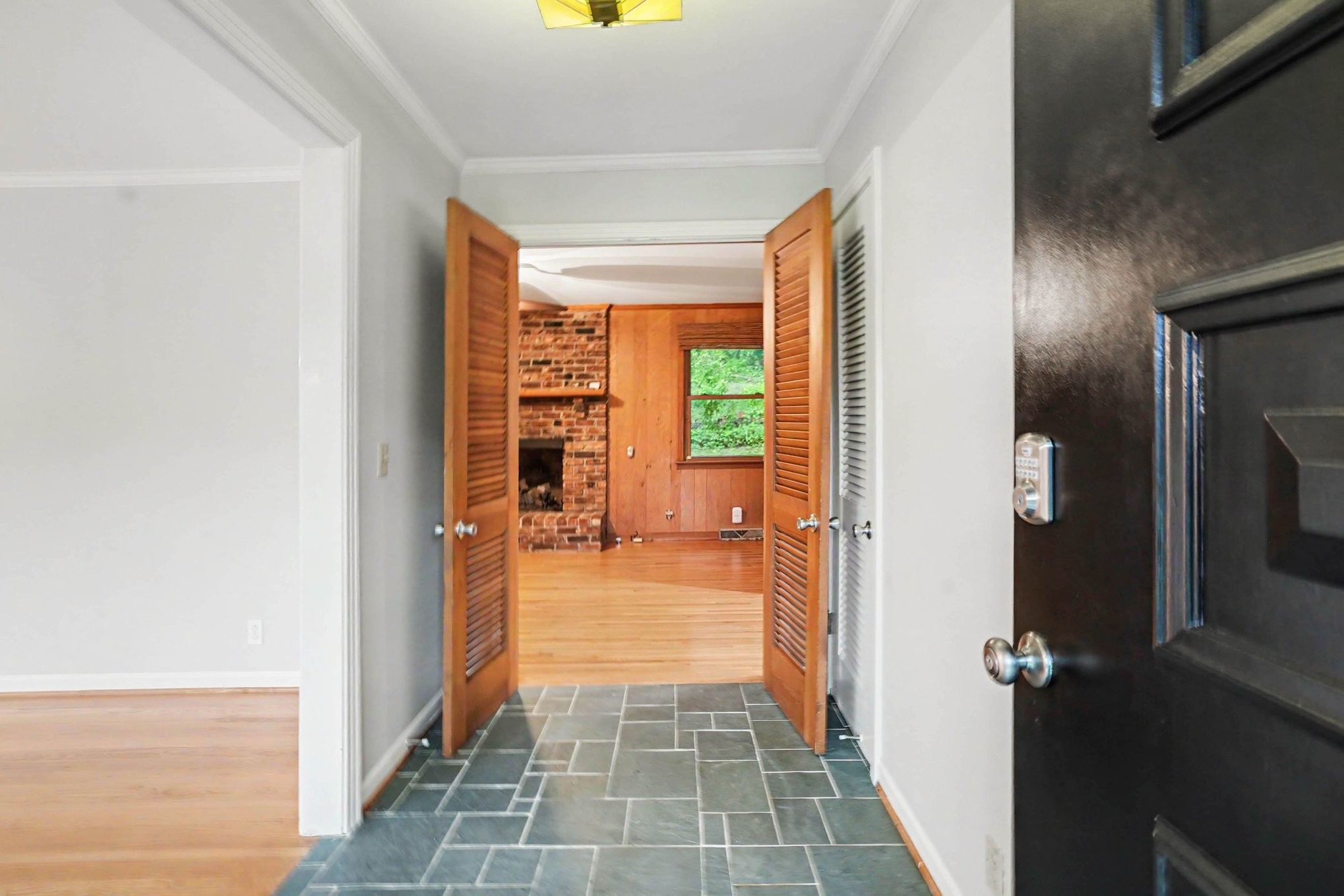 804 Rodney Dr
