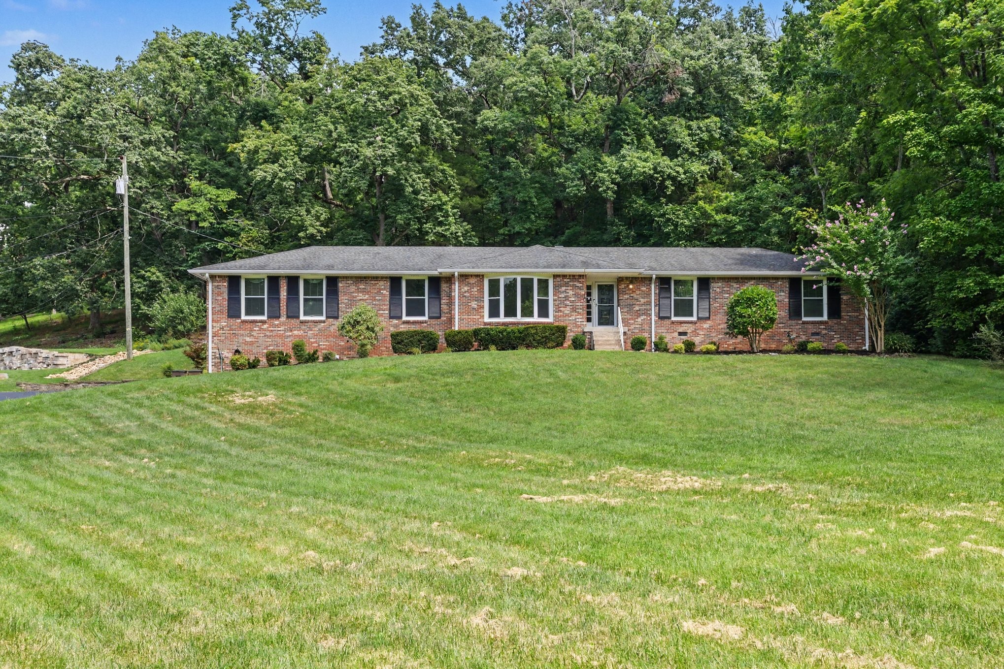 804 Rodney Dr