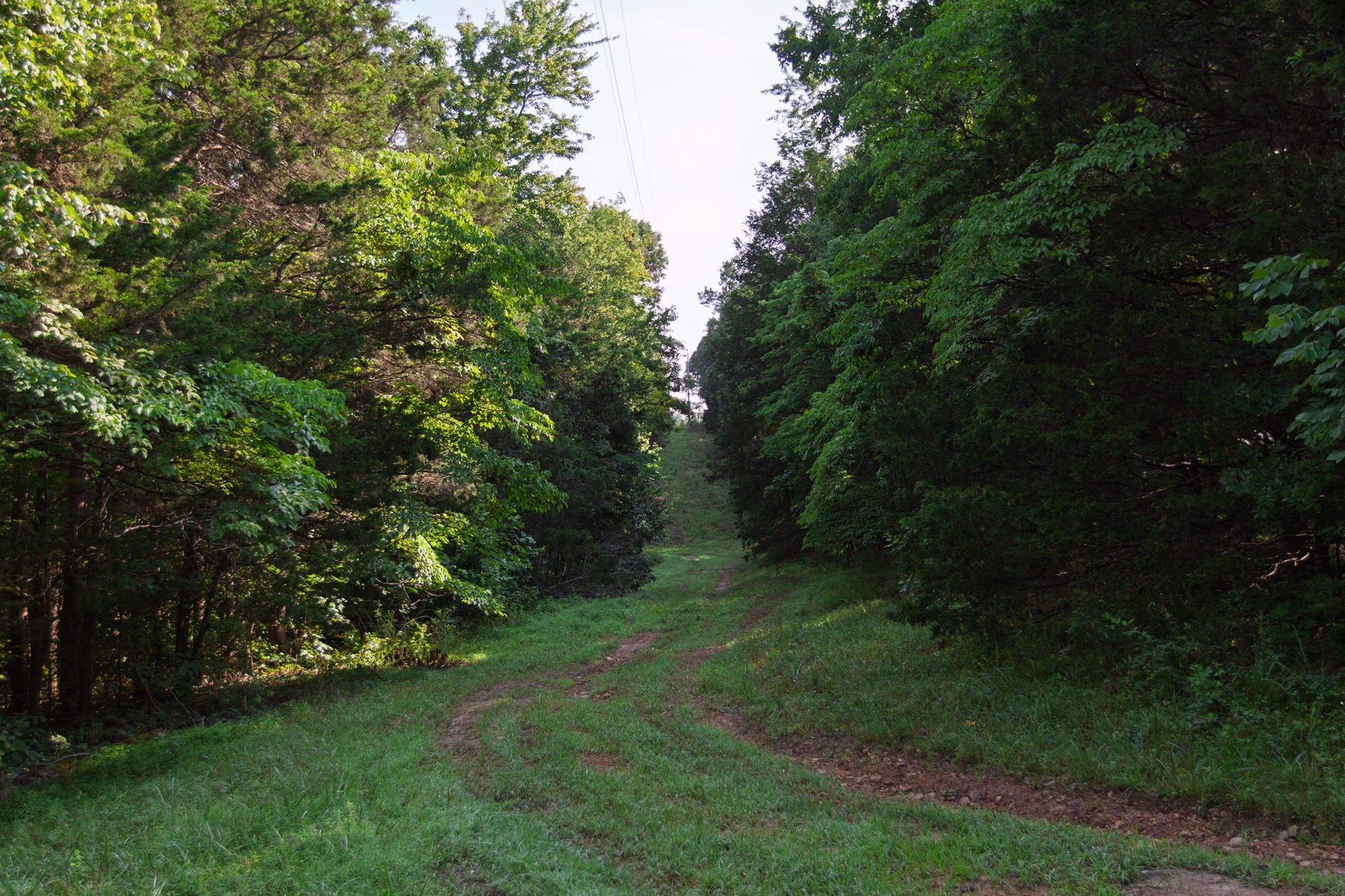 1125 Dawson Road