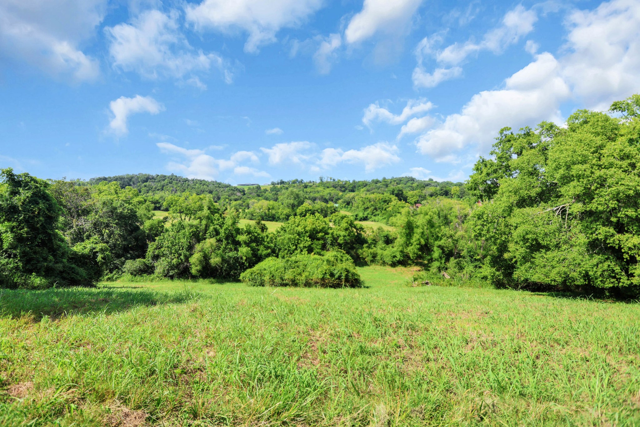 1274 Lowes Lane
