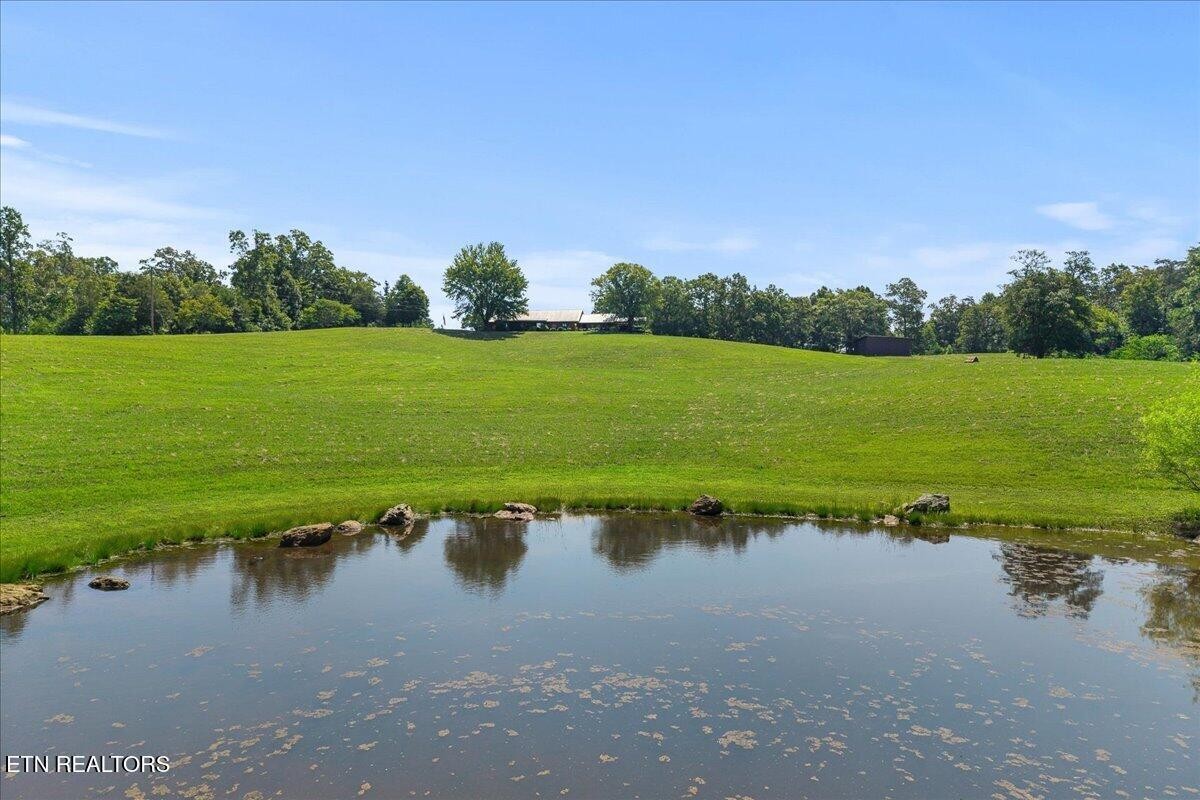 910 Reagan Valley Road