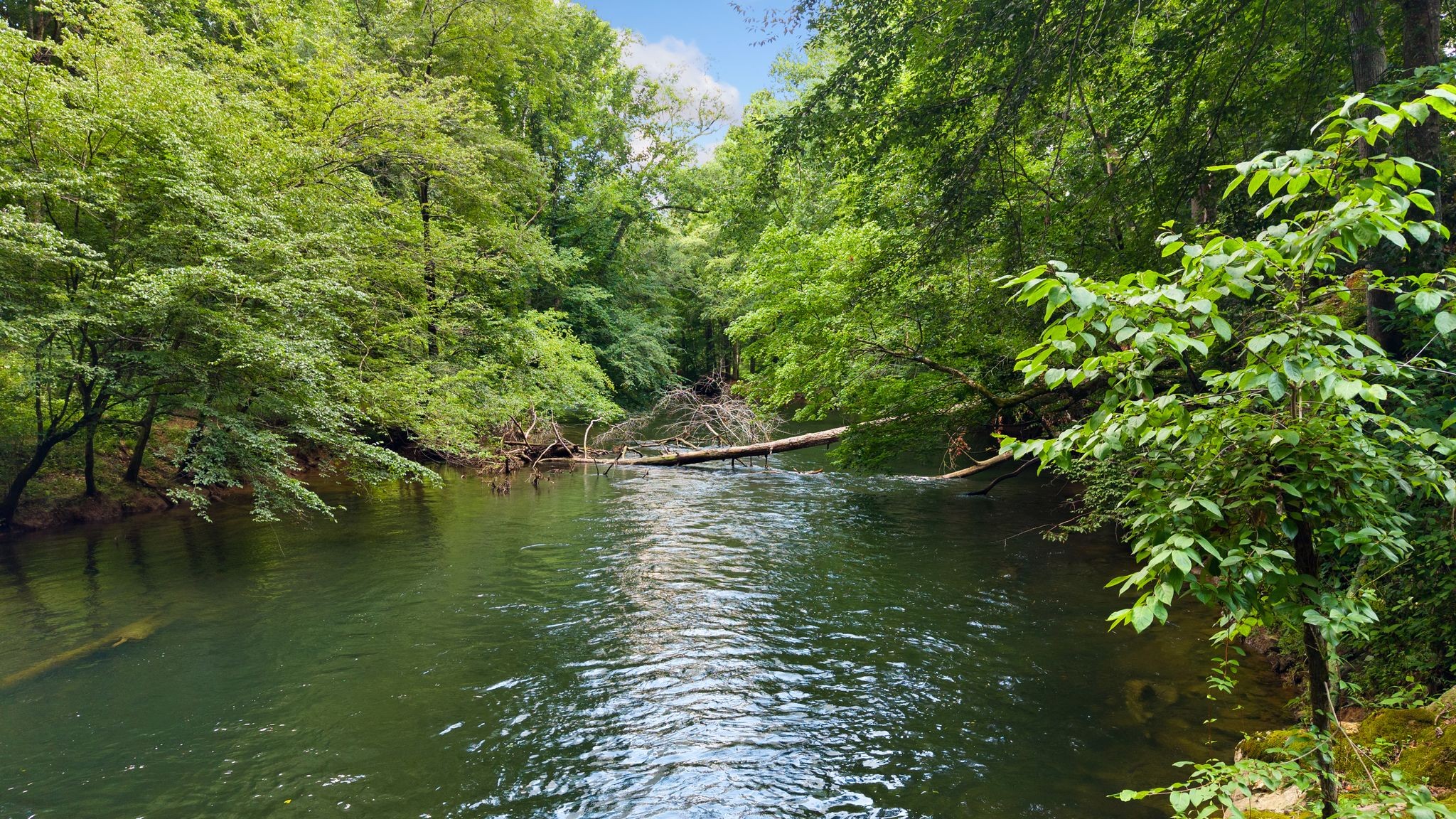 800 Reynolds Bridge Rd