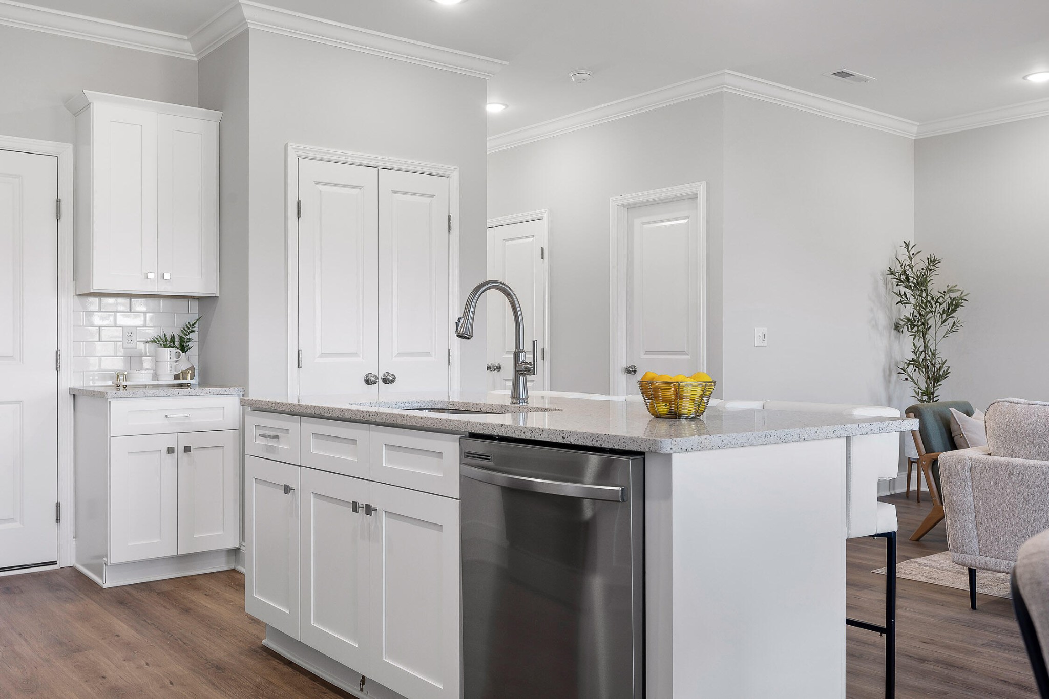 3244 Green Turtle Lane, NE