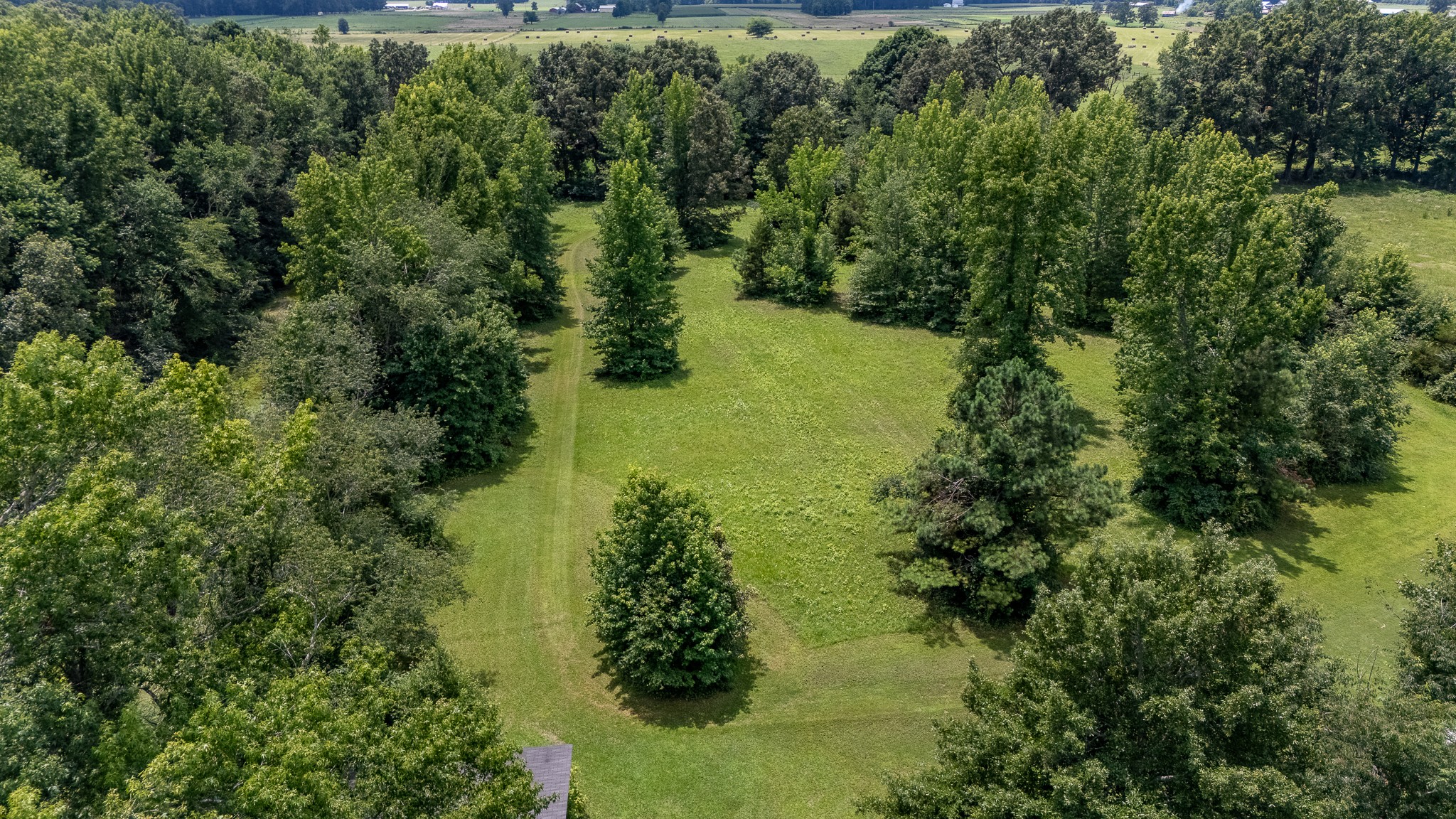 228 Campbellsville Pike