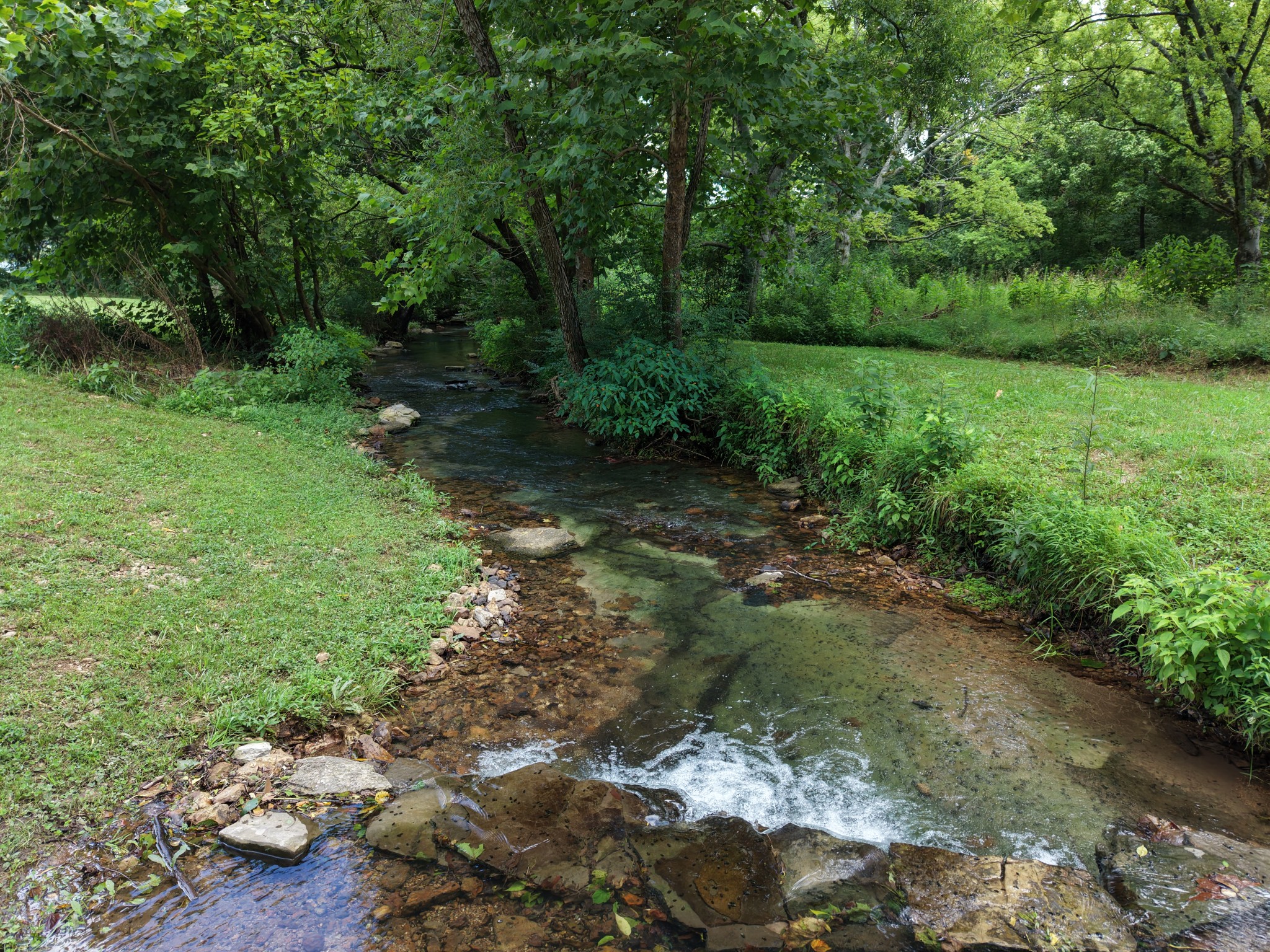 1655 Hurricane Creek Rd