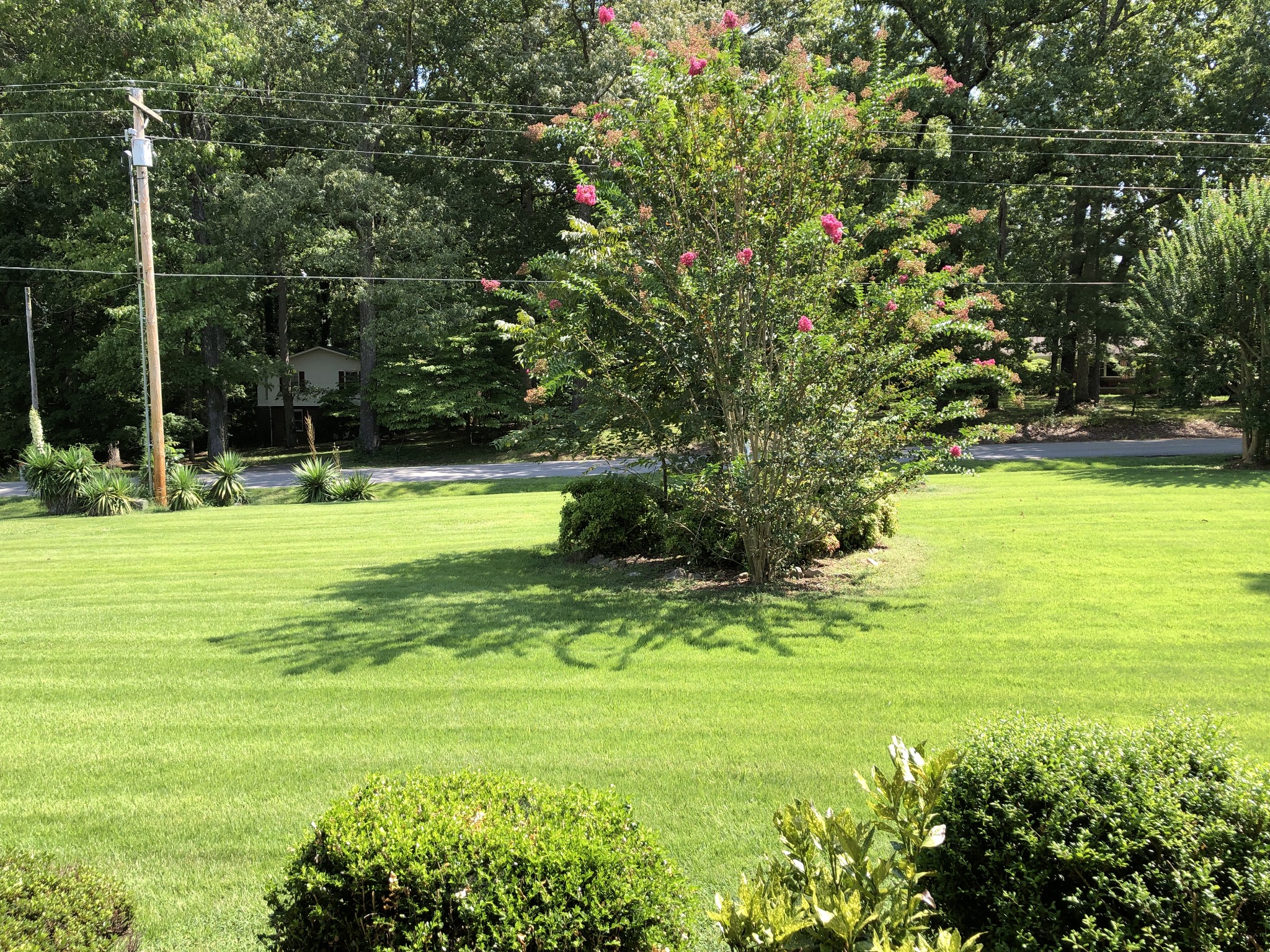 312 Harris Chapel Rd
