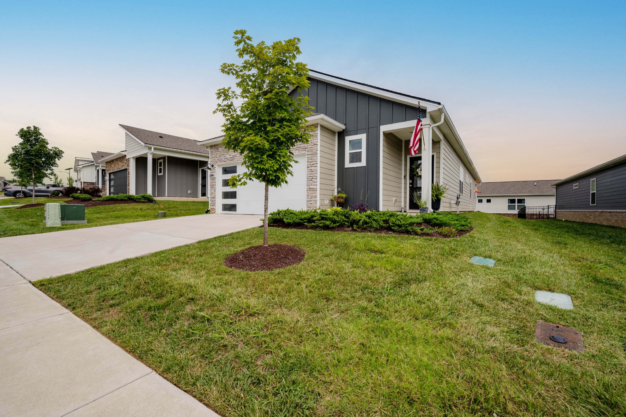 1041 Royal Gorge Pvt Ct