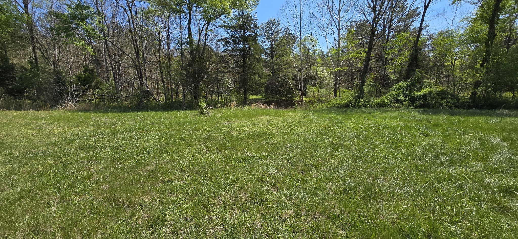 7021 Taylor Creek Loop
