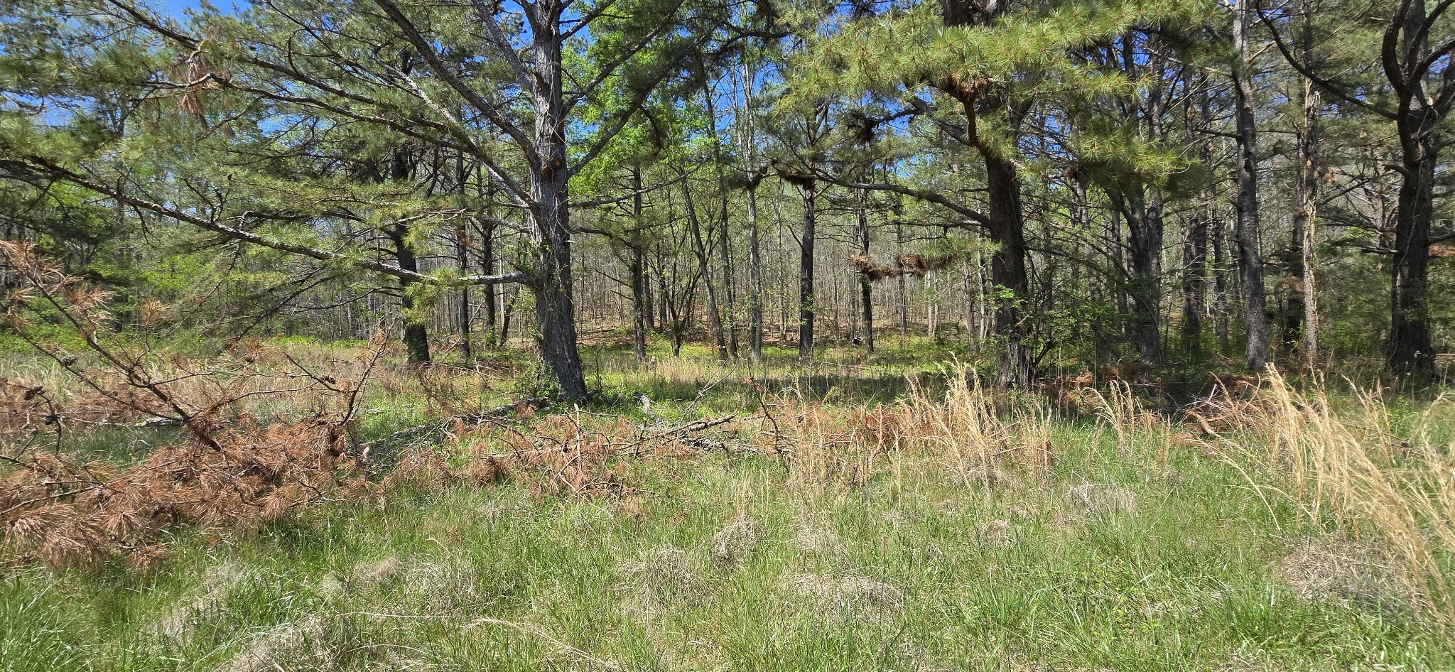7021 Taylor Creek Loop