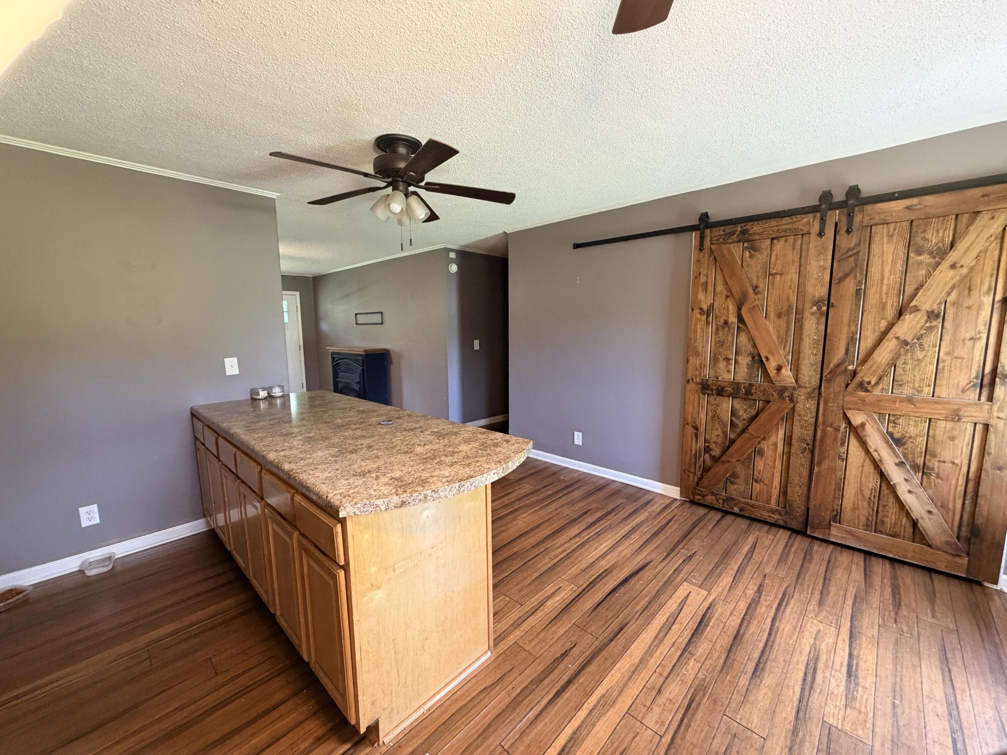 245 County Road 365