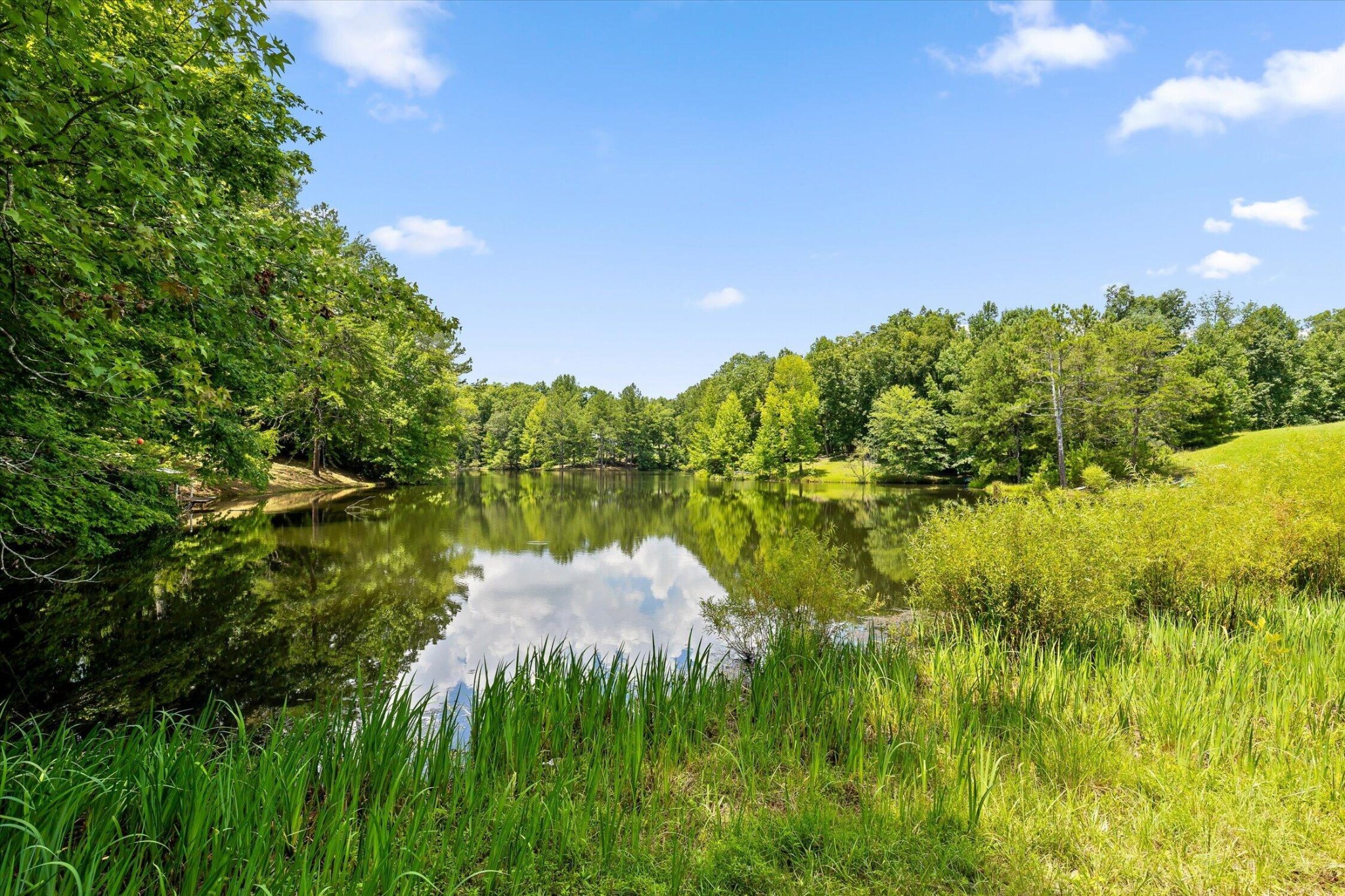 159 Dogwood Trail, NE