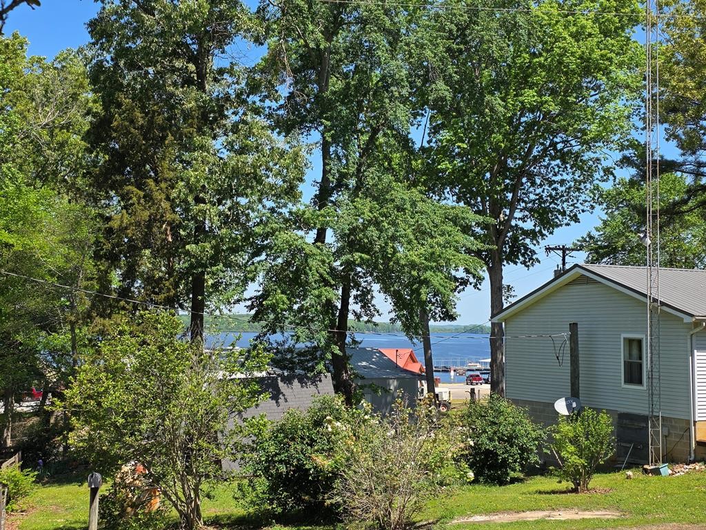 230 Jones Loop