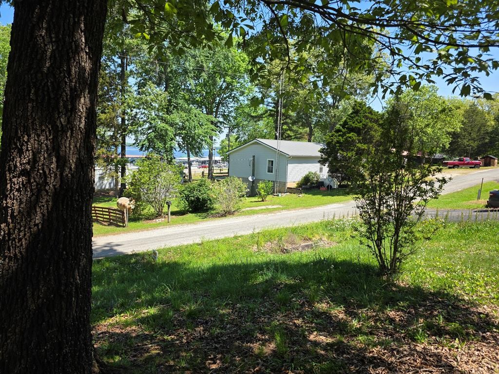 230 Jones Loop