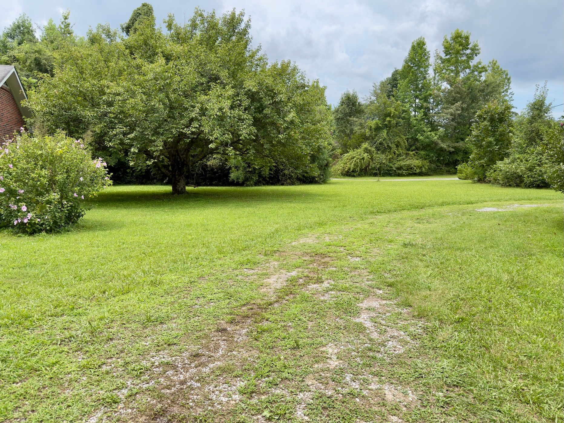 804 Todd Rd