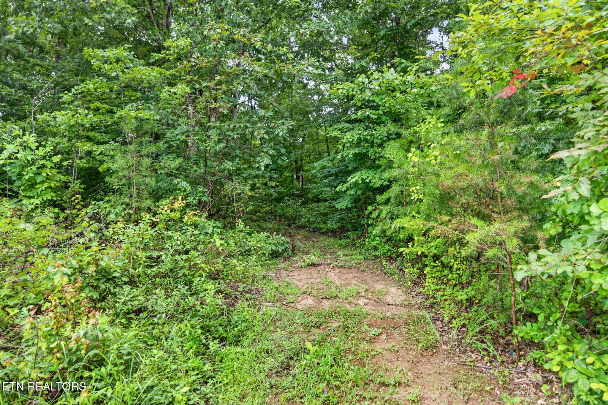 460 Jim Garrett Rd